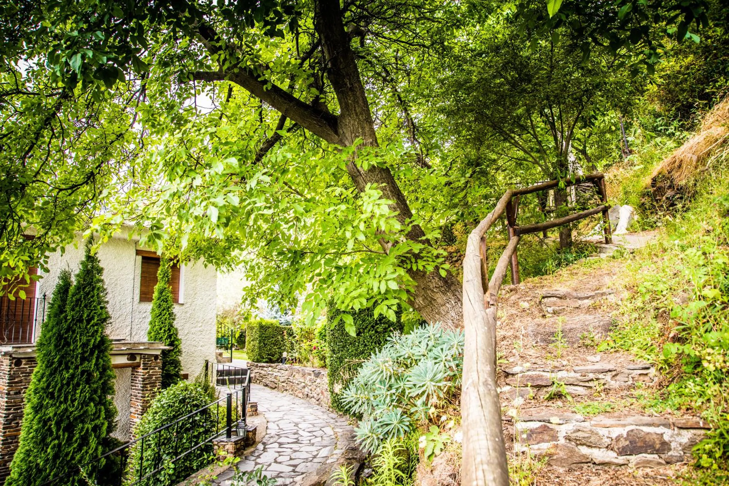 Day in Finca Los Llanos