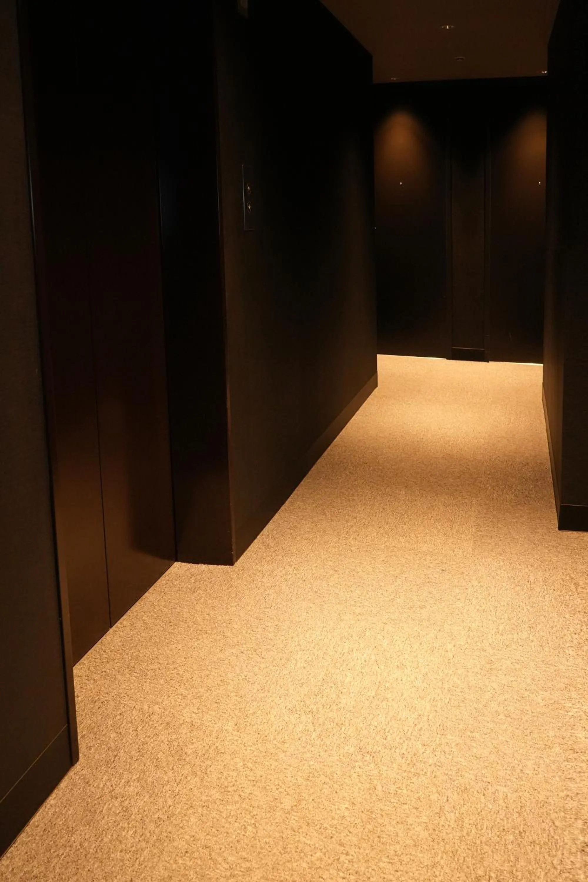 elevator in N Plus Hotel Akihabara