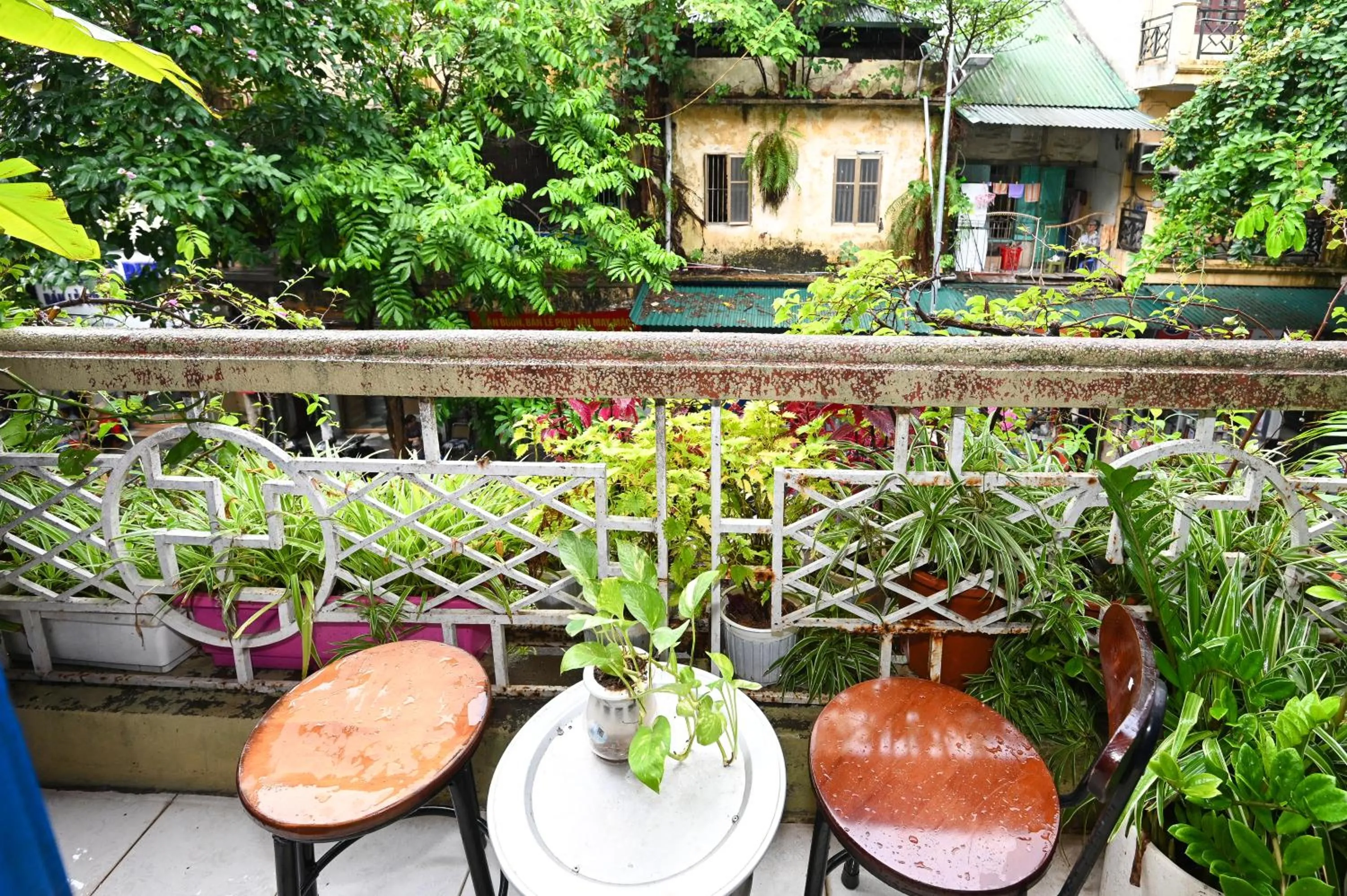 Balcony/Terrace in Sunny Hanoi Homestay