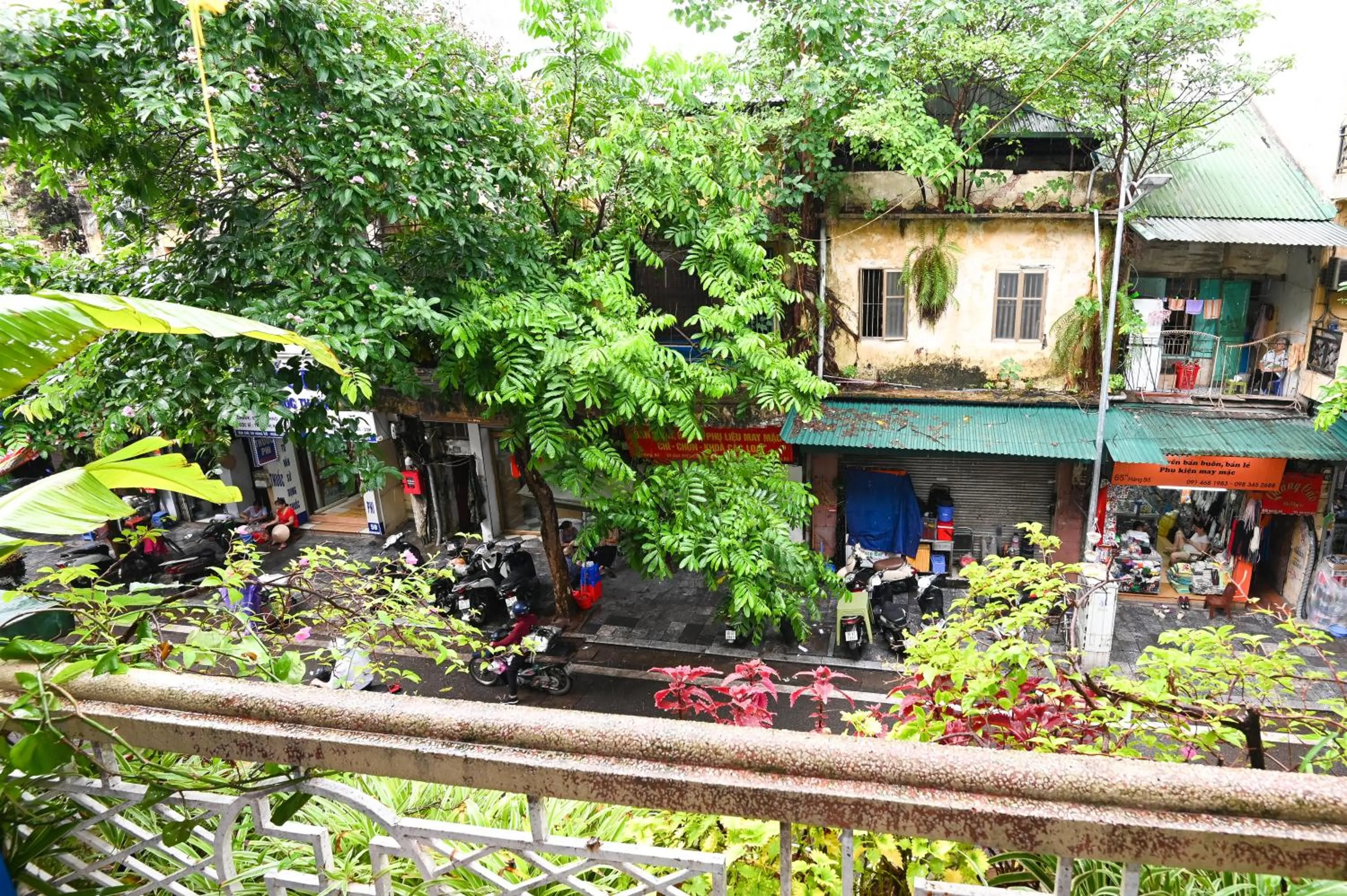 View (from property/room) in Sunny Hanoi Homestay