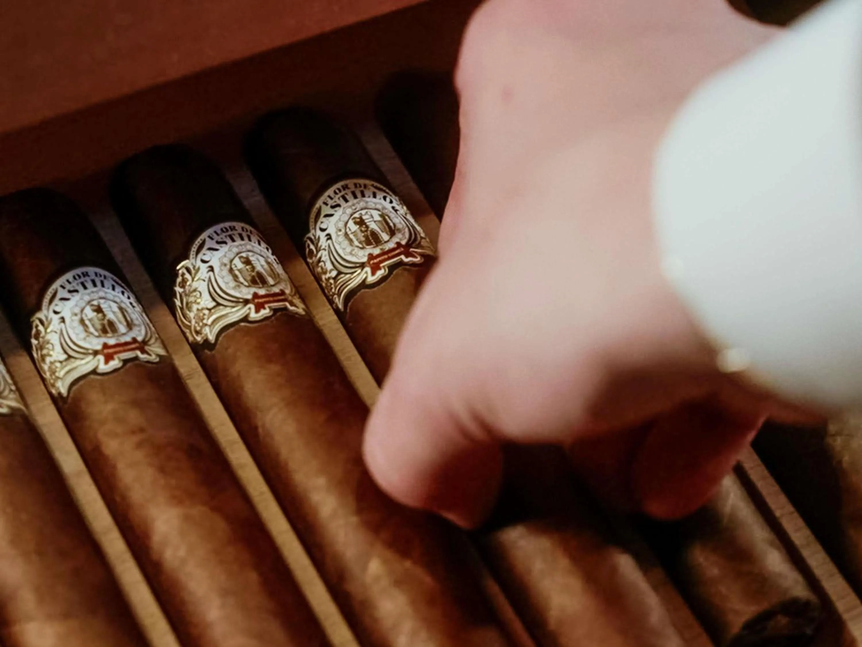 Lounge or bar in Raffles Doha