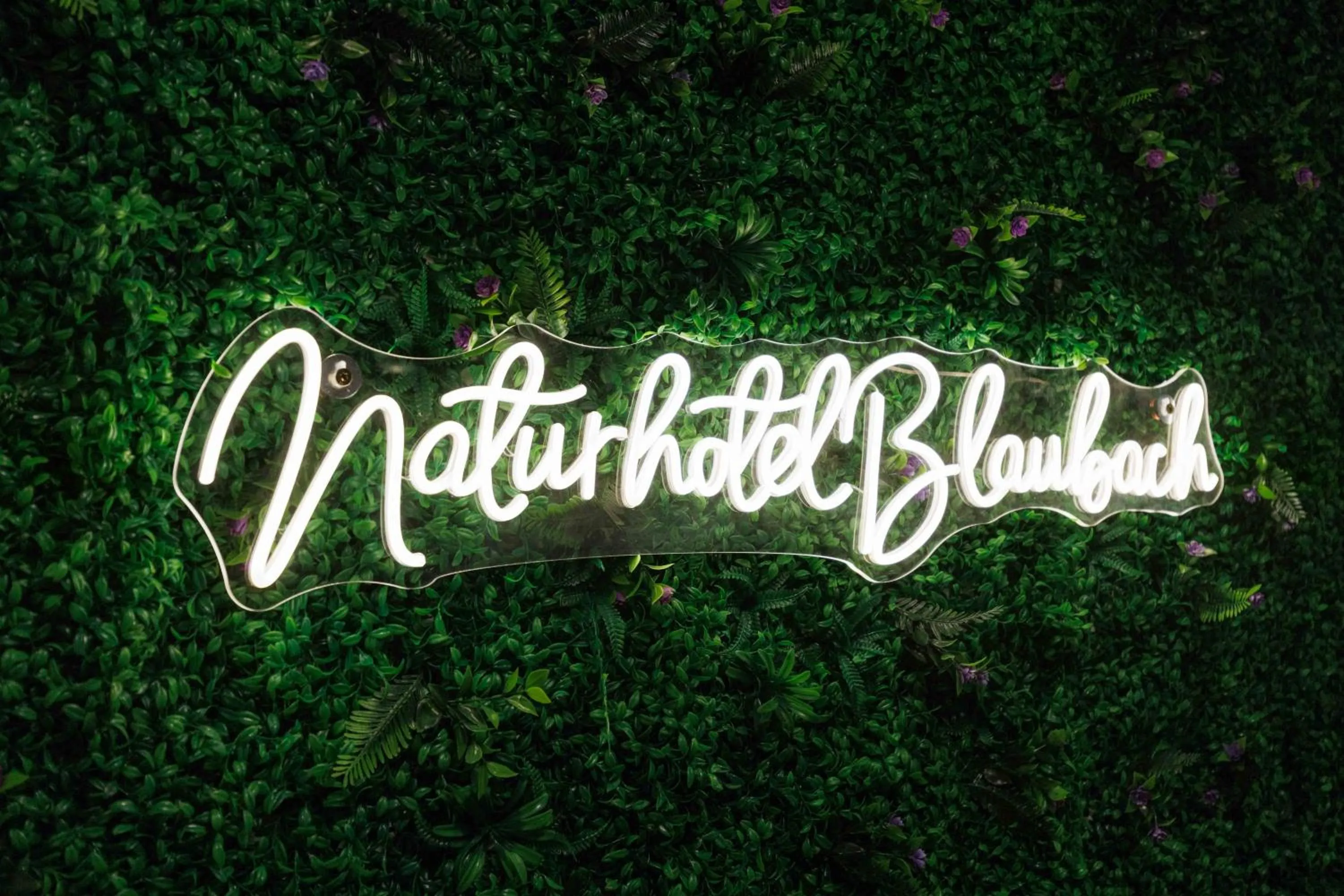 Property logo or sign in Naturhotel Blaubach