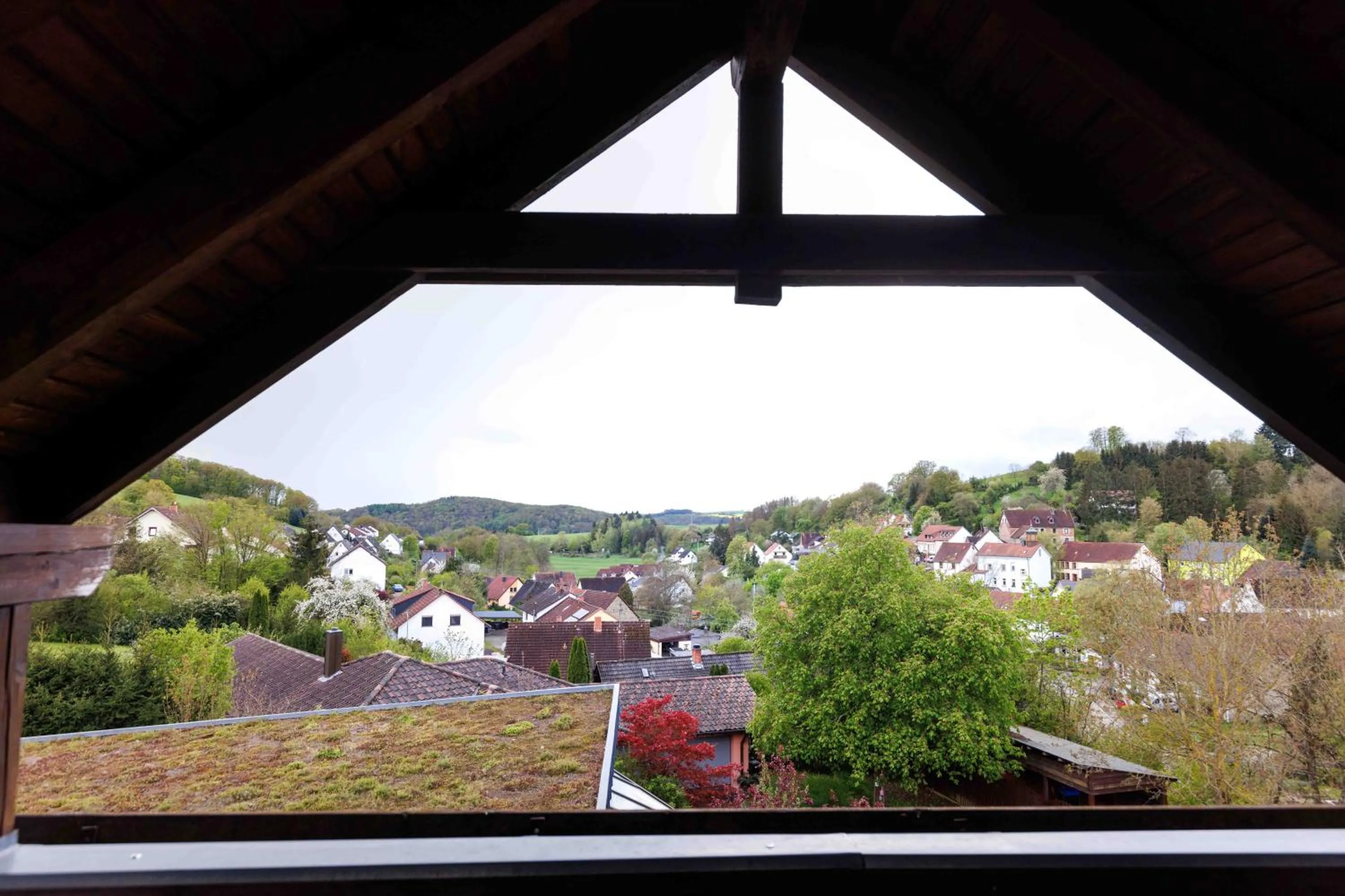 Natural landscape in Naturhotel Blaubach