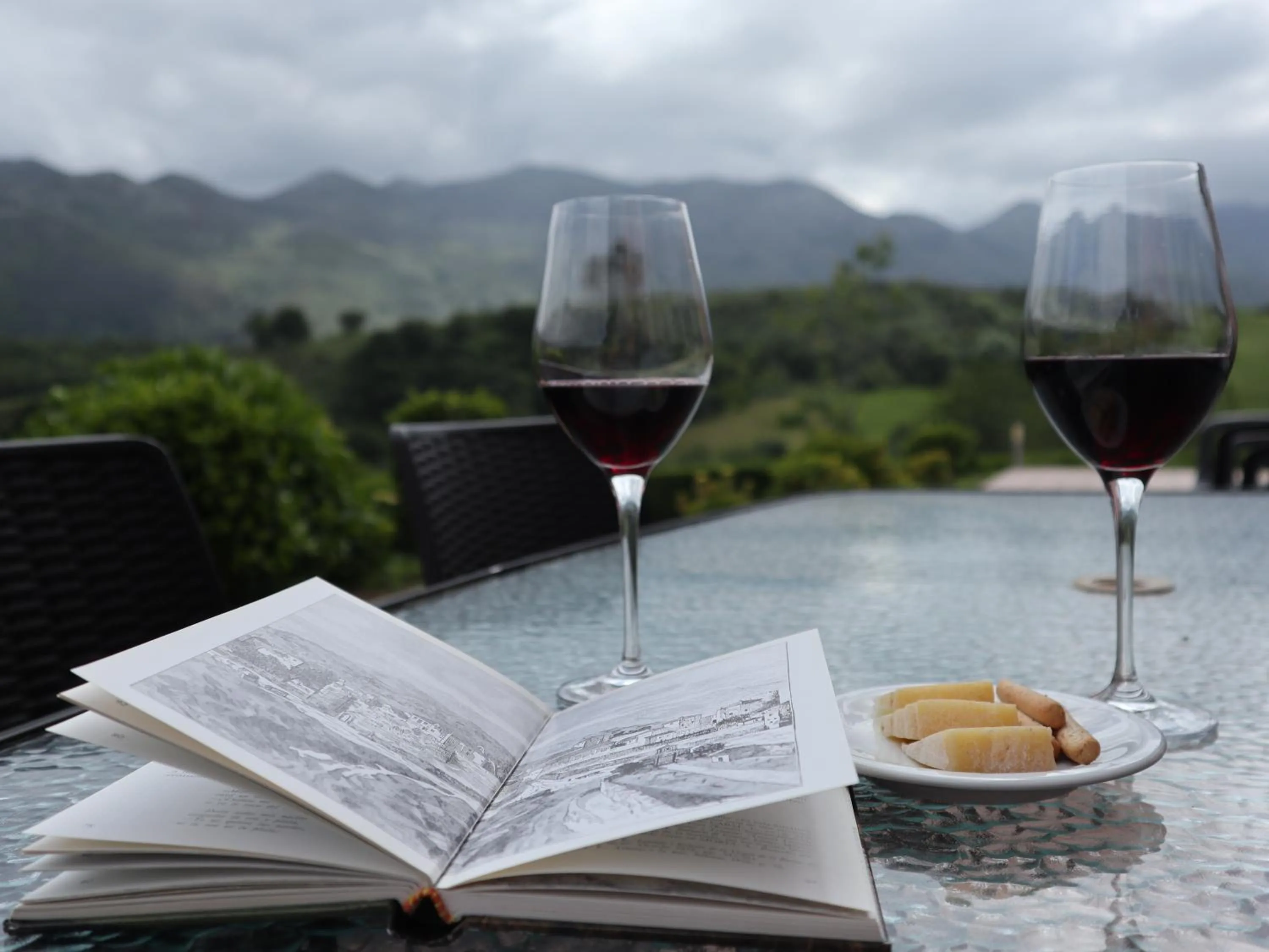 Garden in Hotel Puerta Del Oriente