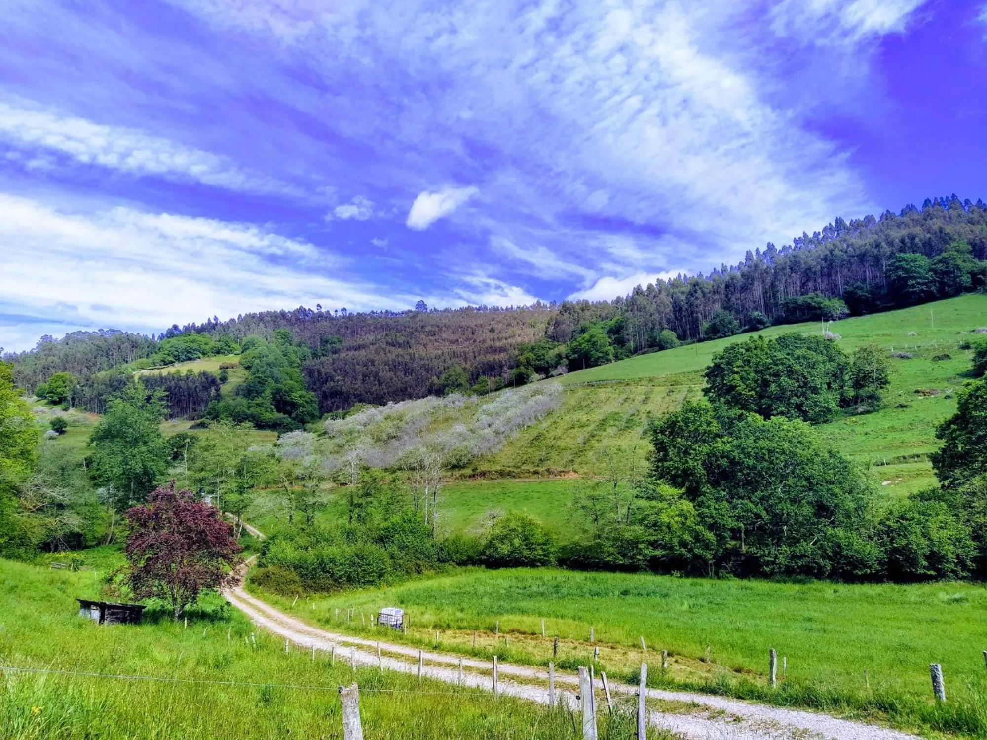 Nearby landmark in Hotel Puerta Del Oriente
