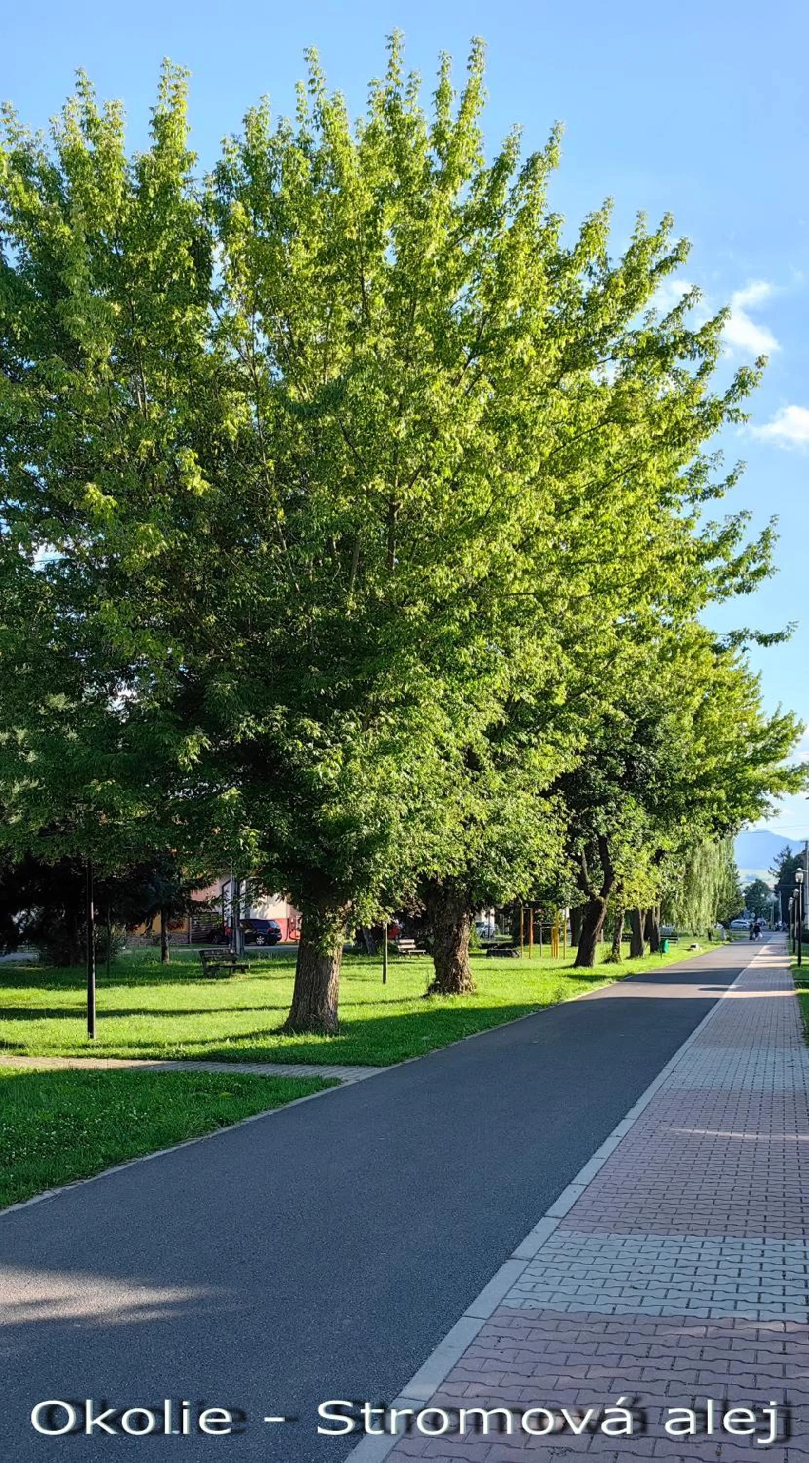 Neighbourhood in Jurika Liptov