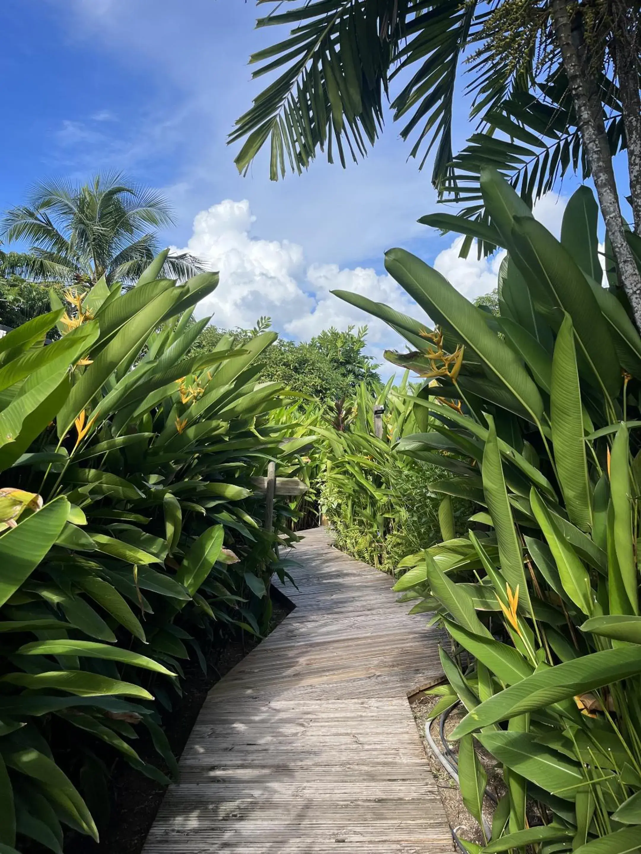 Eden Paradise Spa Ecolodge Eden Paradise Spa Ecolodge