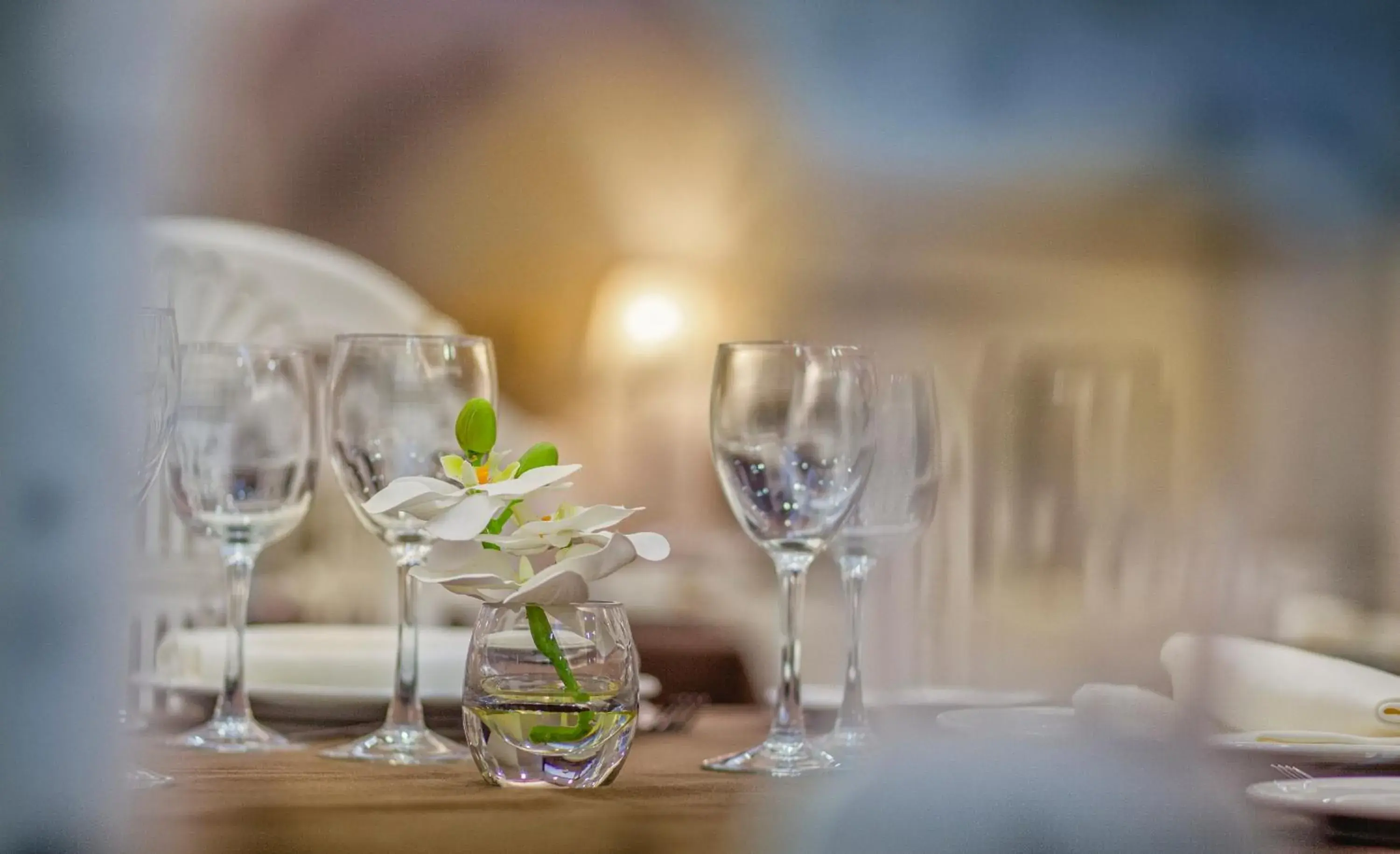 Restaurant/places to eat in Hotel Rosaleda Don Pedro Restaurant/places to eat in Hotel Rosaleda Don Pedro