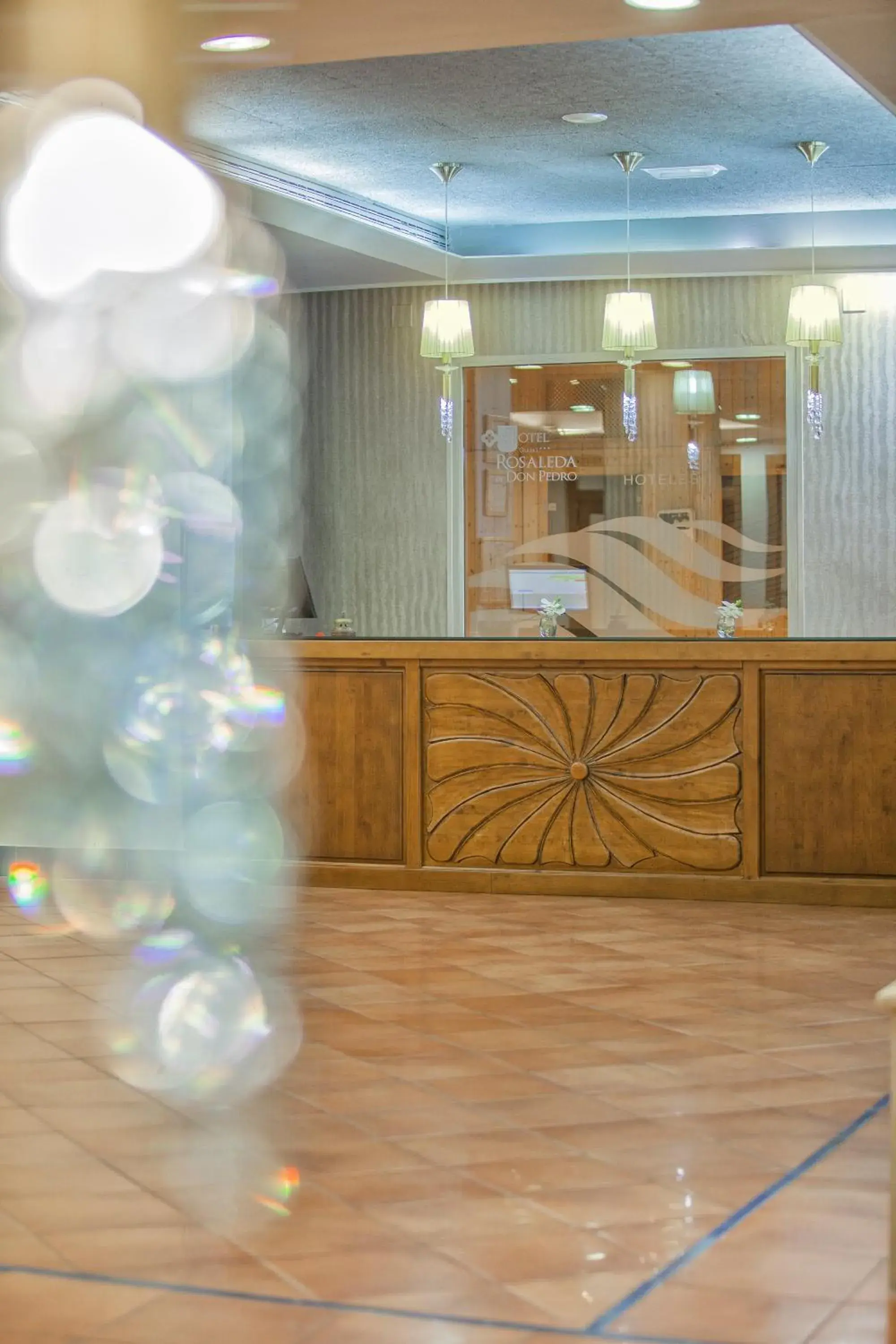 Lobby or reception in Hotel Rosaleda Don Pedro Lobby or reception in Hotel Rosaleda Don Pedro