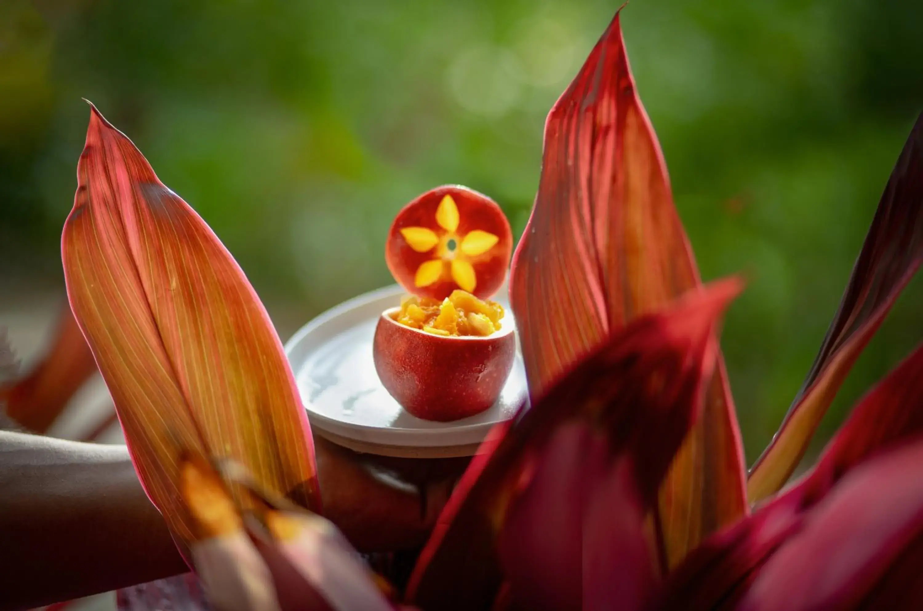 Food and drinks in Alma Maya Resort - Riviera Maya Food and drinks in Alma Maya Resort - Riviera Maya