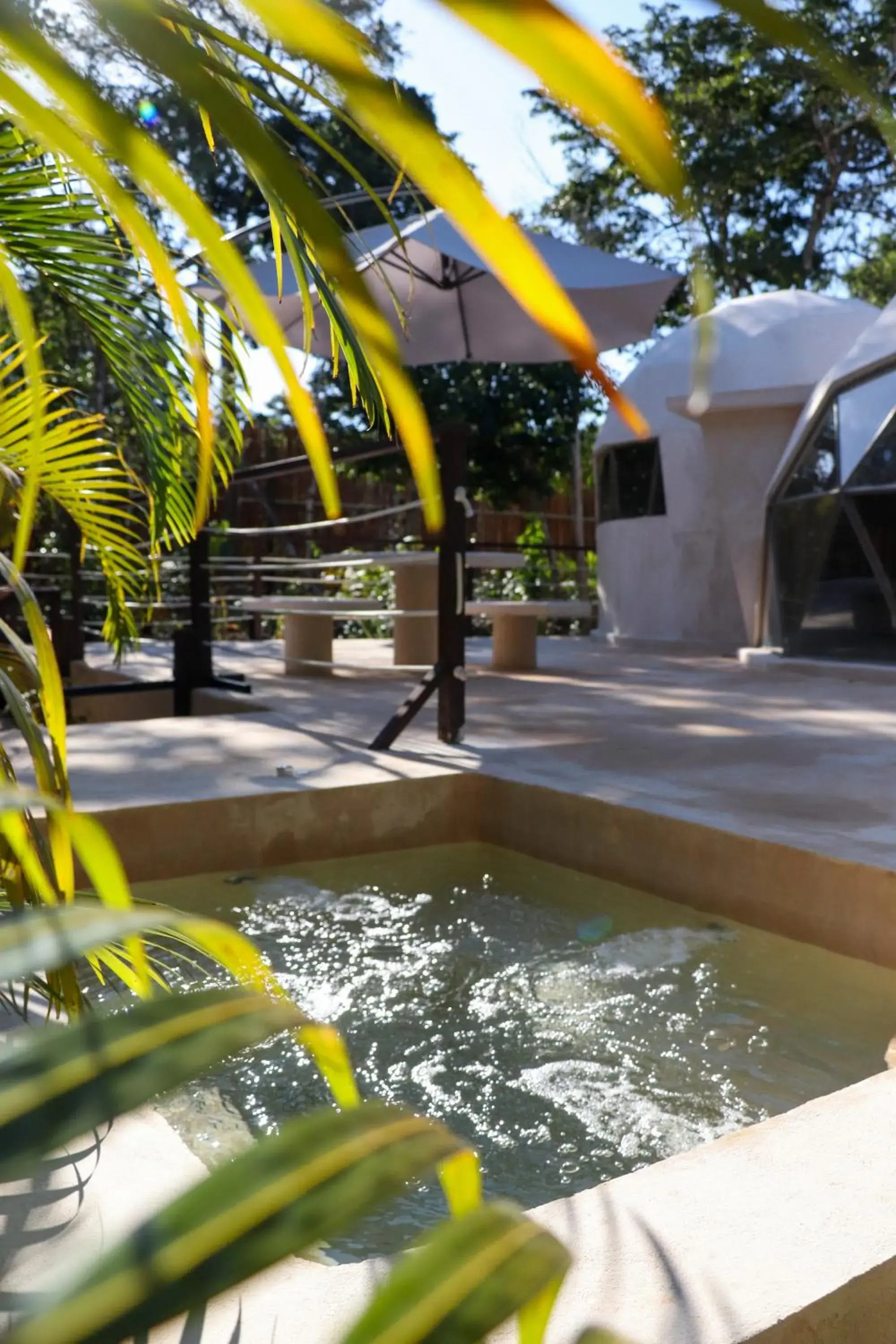 Swimming pool in Alma Maya Resort - Riviera Maya Swimming pool in Alma Maya Resort - Riviera Maya