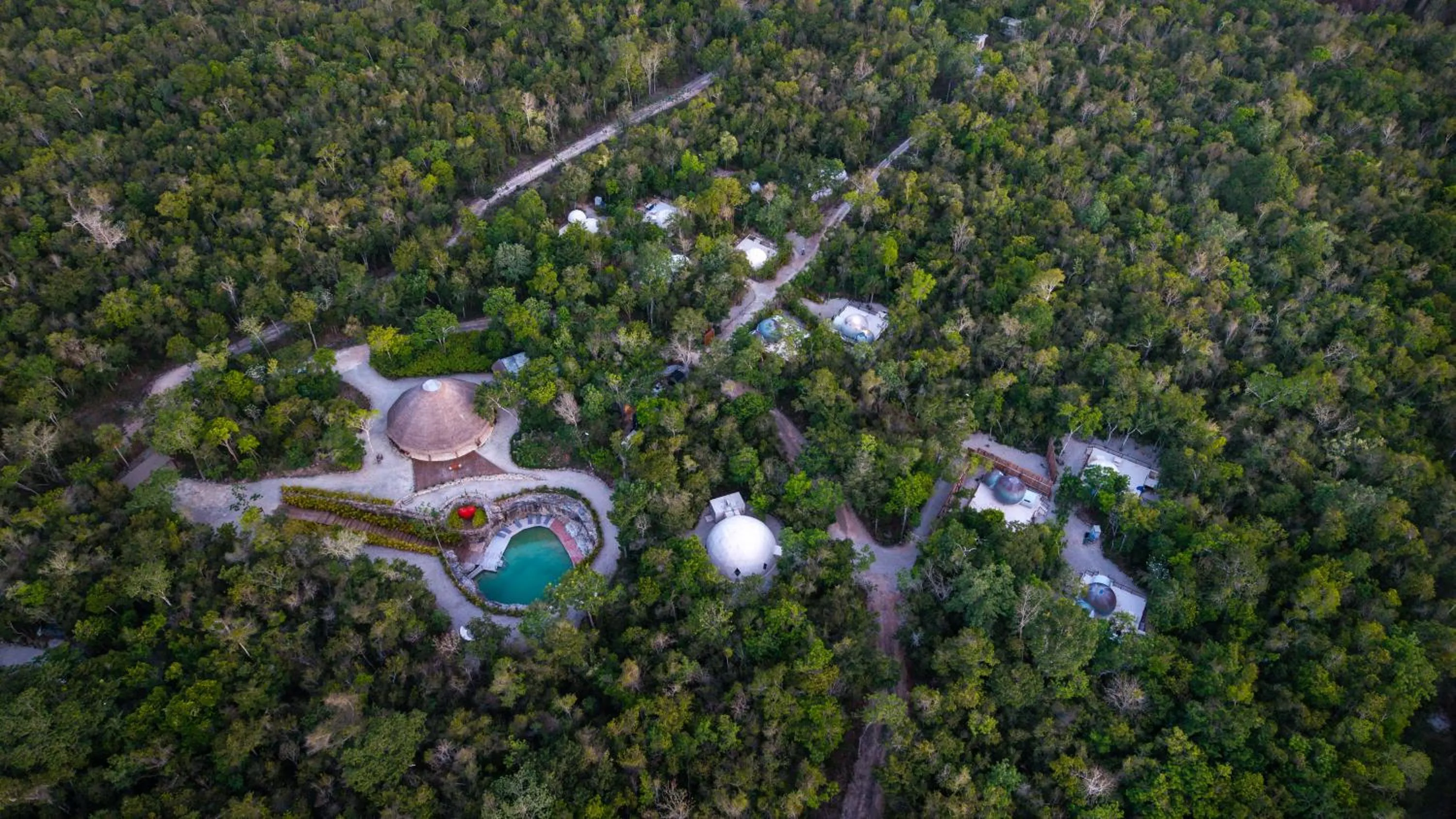 Natural landscape in Alma Maya Resort - Riviera Maya