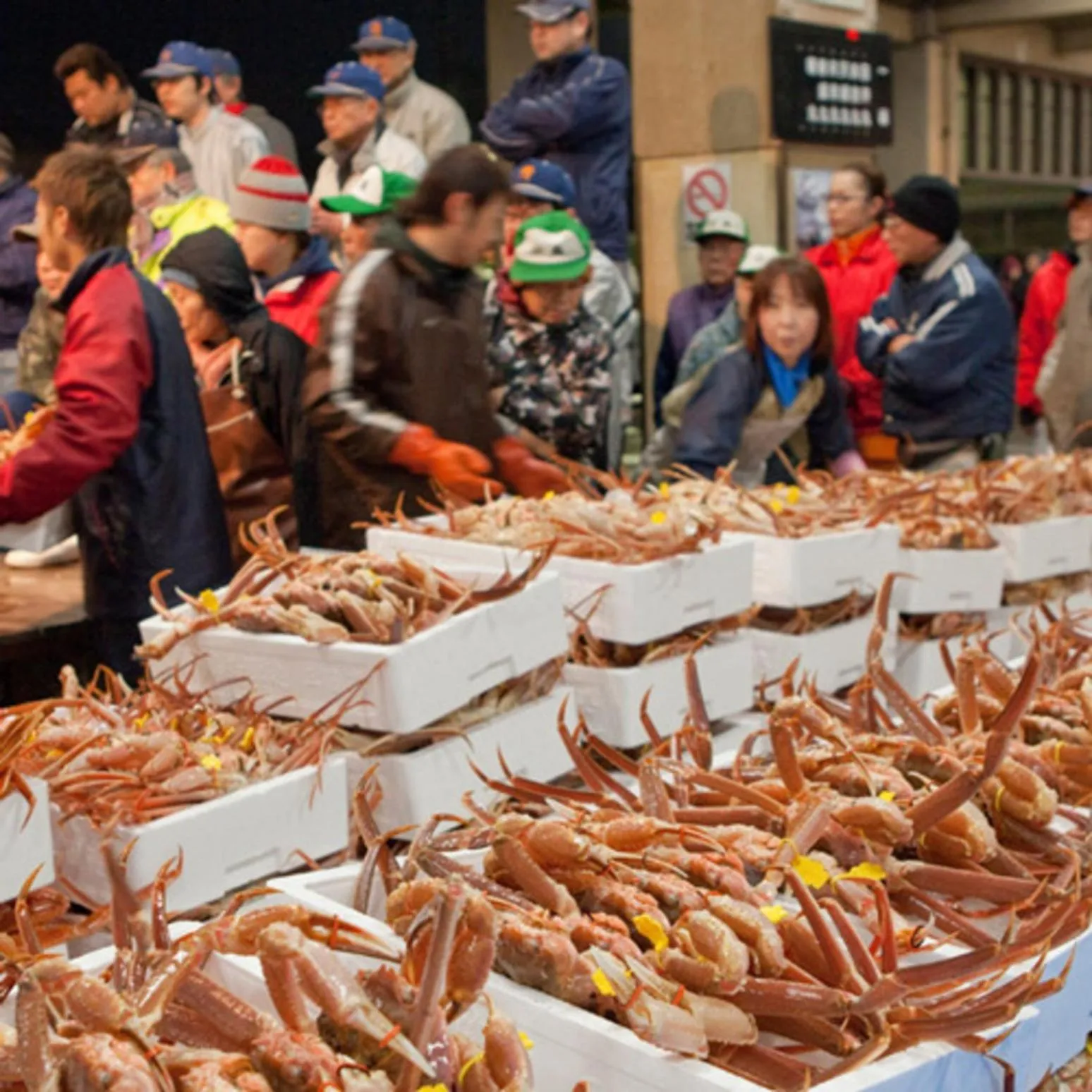 Kyukamura Echizen-Mikuni