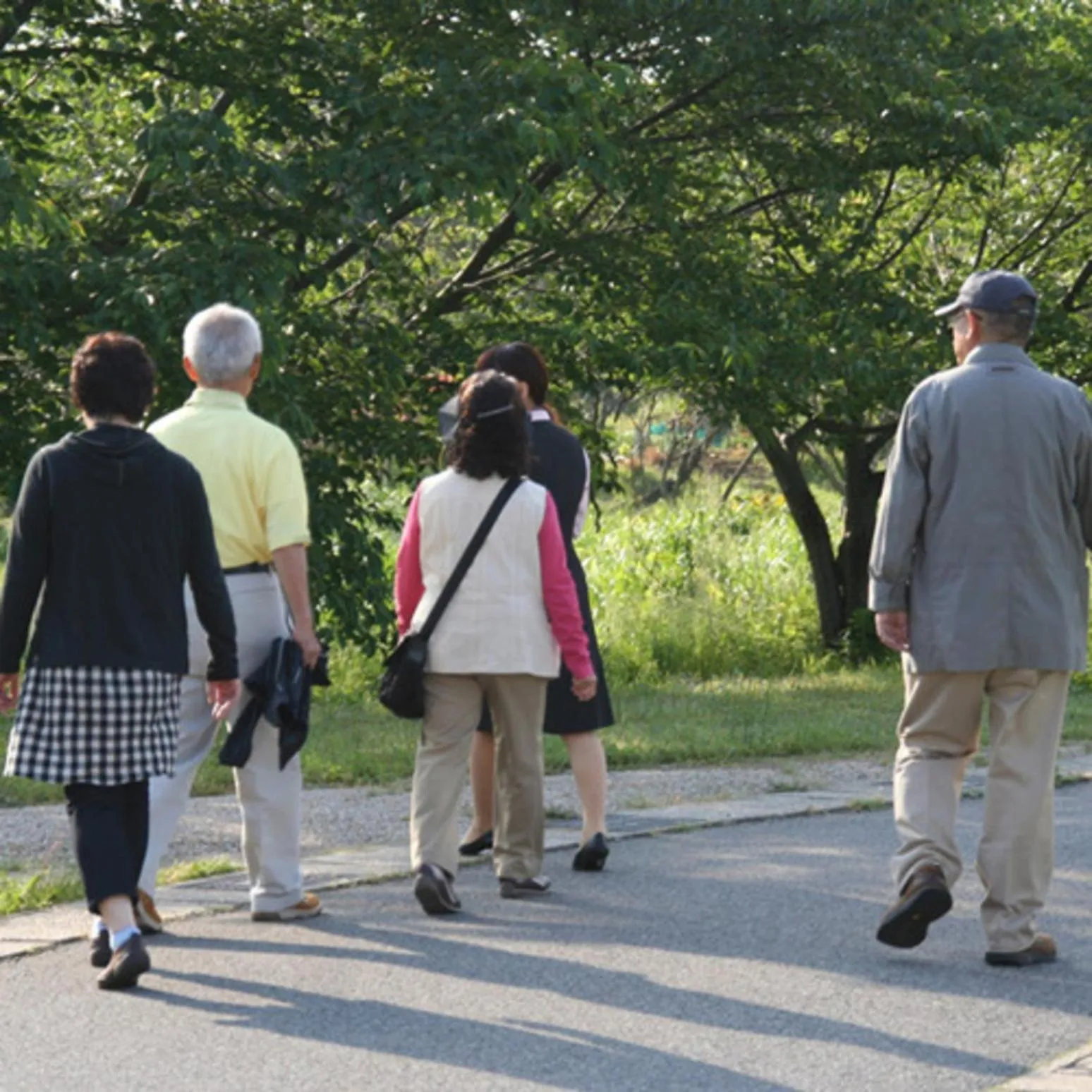 Kyukamura Echizen-Mikuni