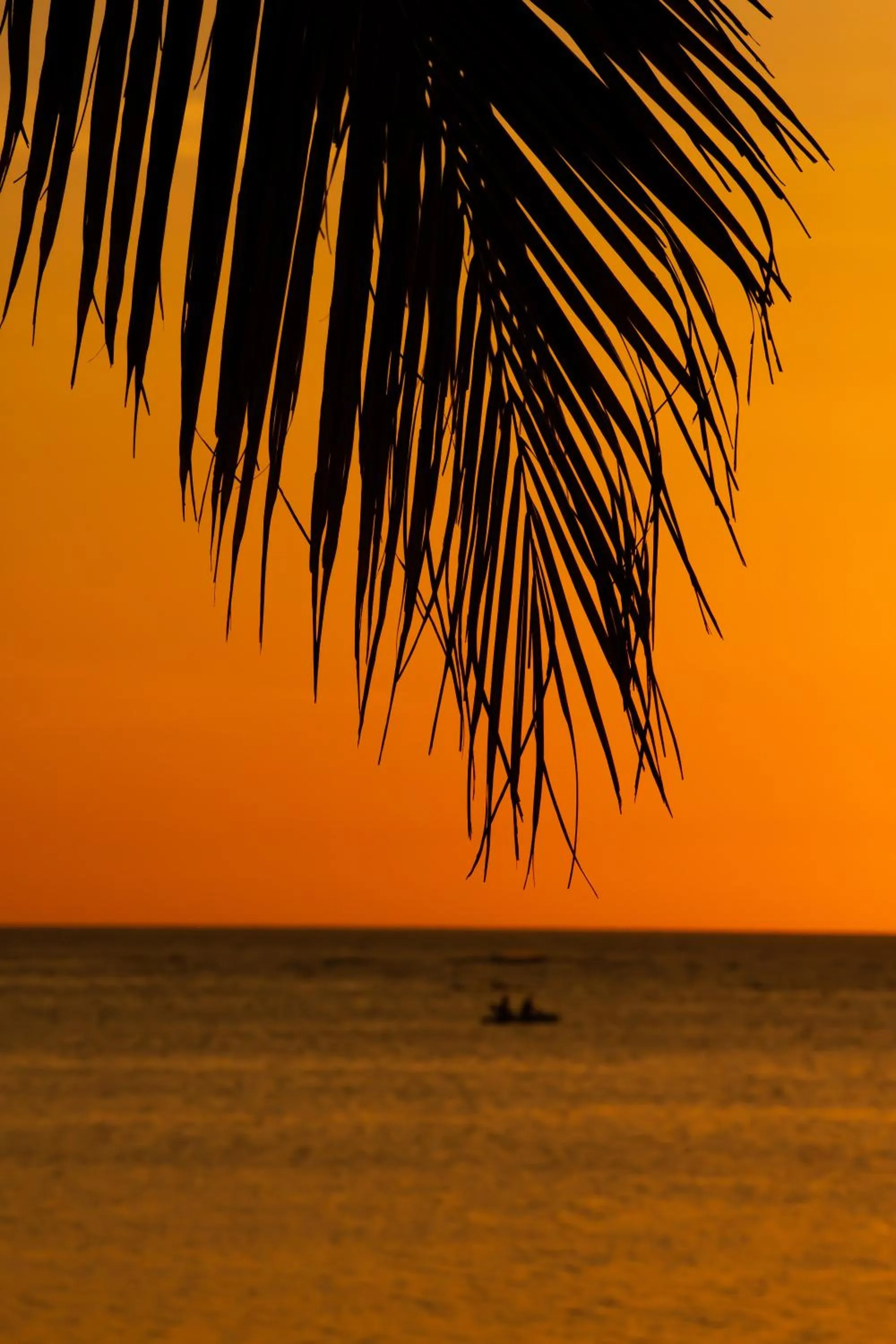 Sea view in The Beach House Ocam Ocam