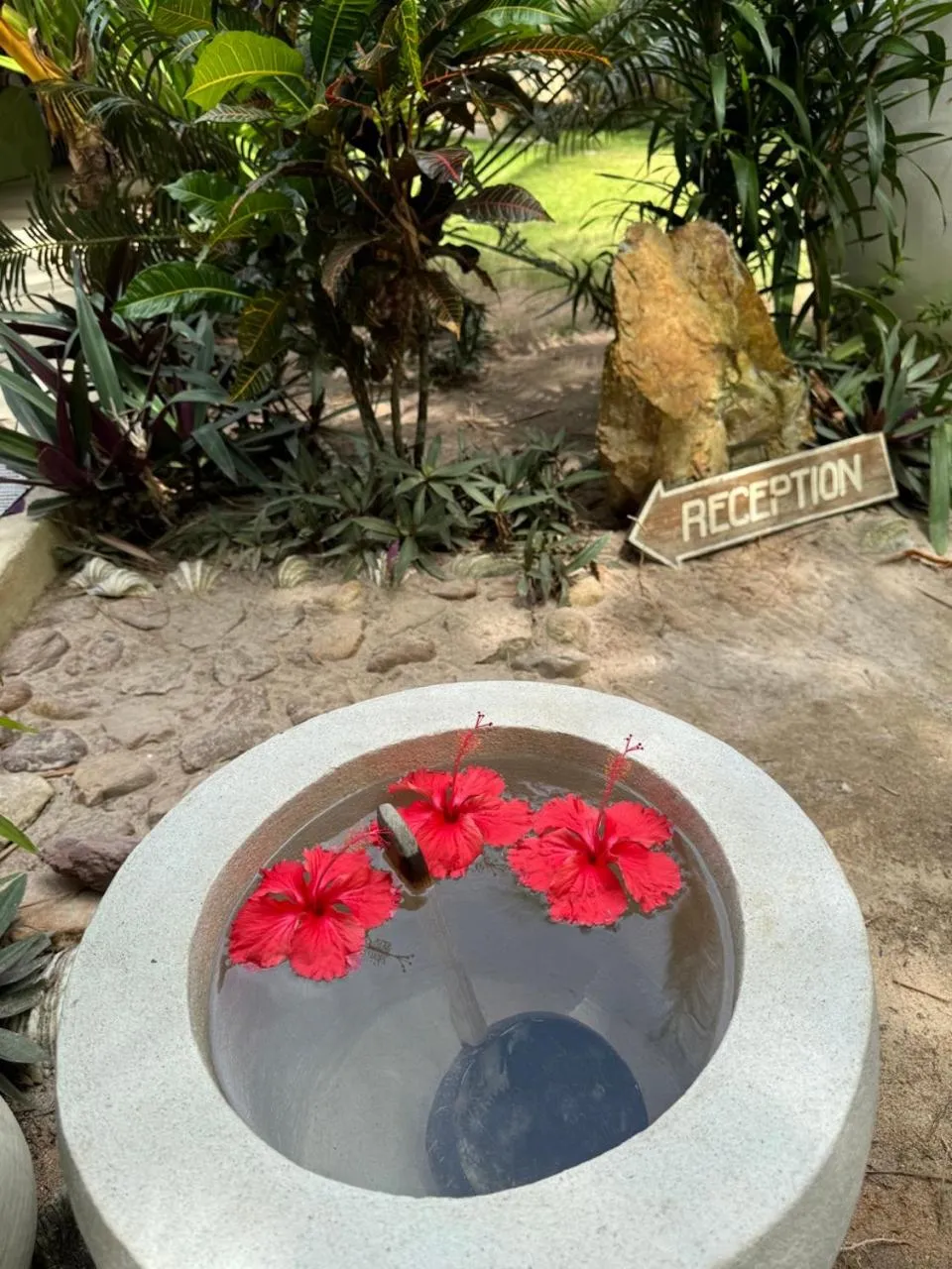 Spa and wellness centre/facilities in The Beach House Ocam Ocam