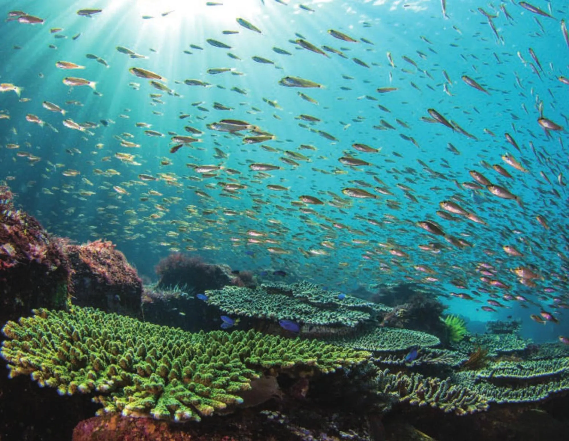 Kyukamura Nanki-Katsuura