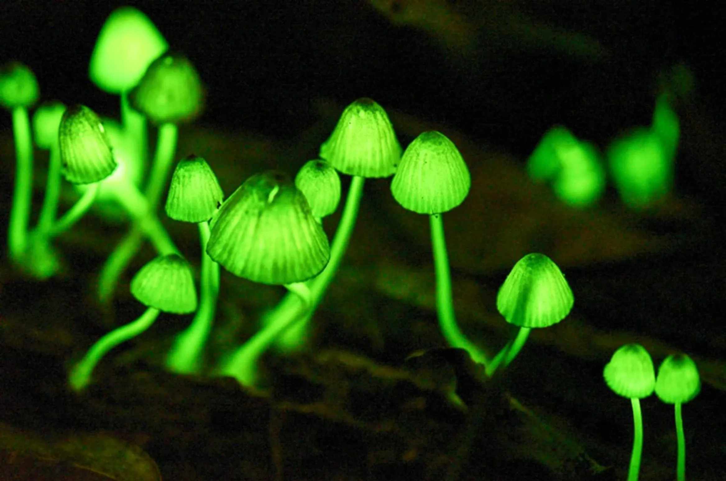 Kyukamura Nanki-Katsuura