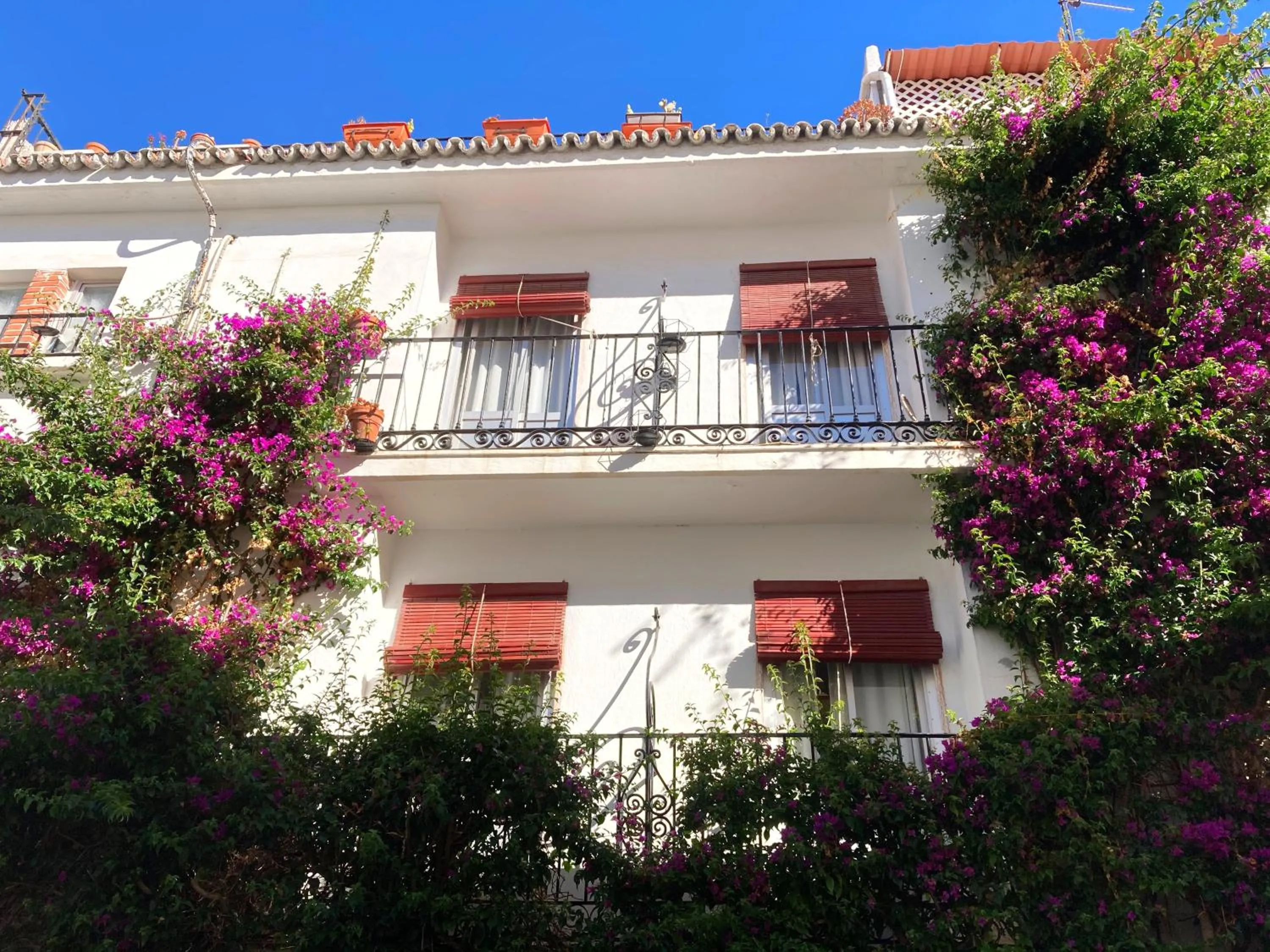 Property building in Hostal Paco Marbella