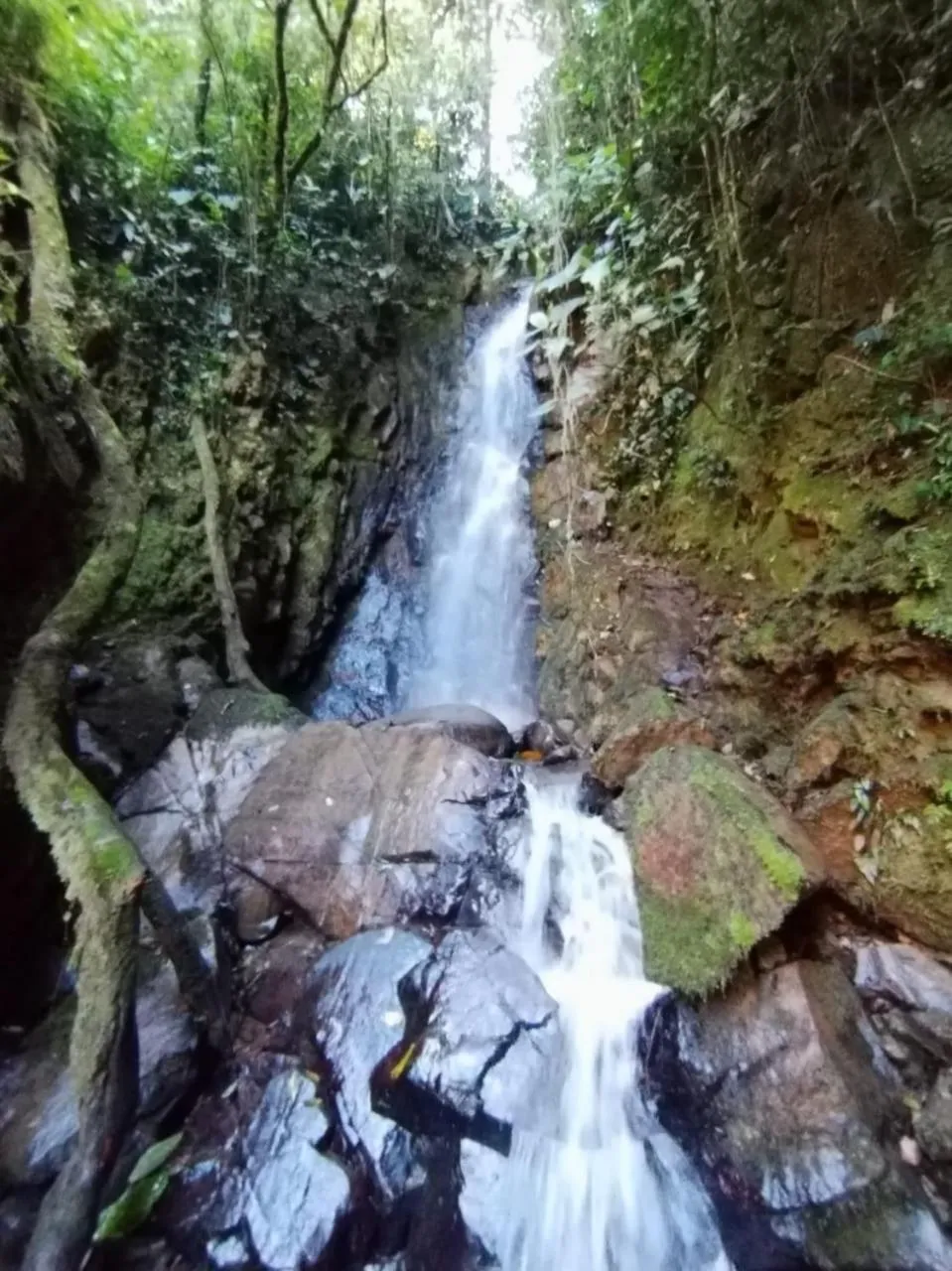 Nearby landmark in Chirripo Art Hotel