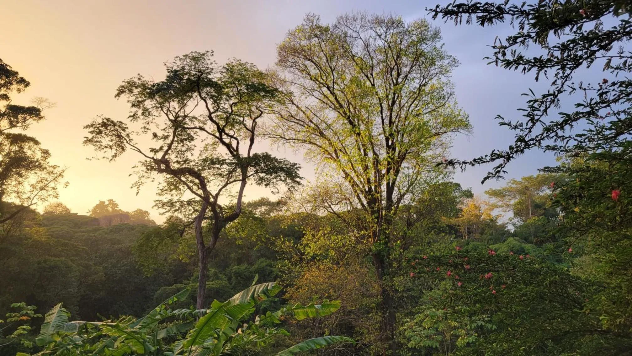 Natural landscape in Chirripo Art Hotel