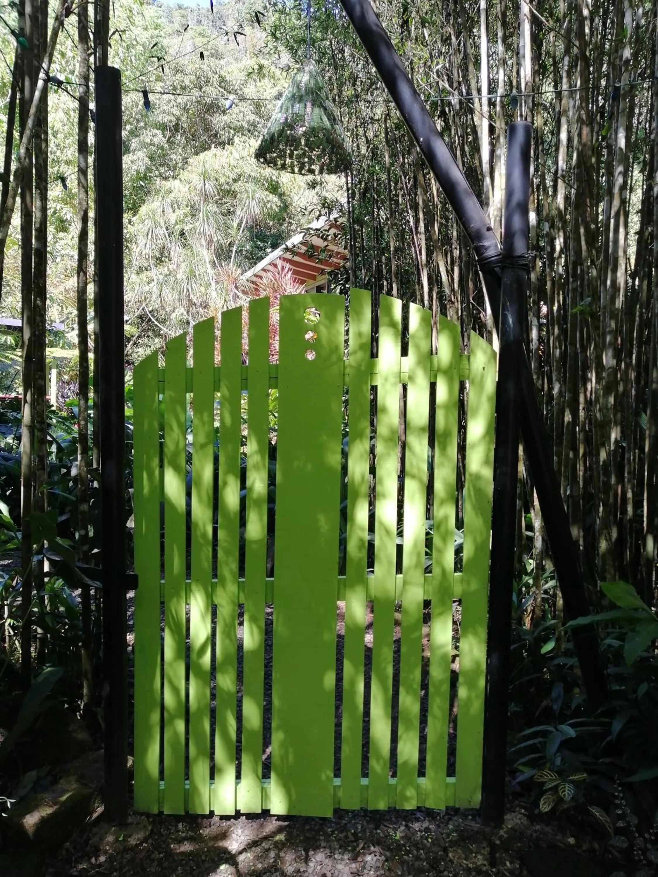 Natural landscape in Chirripo Art Hotel