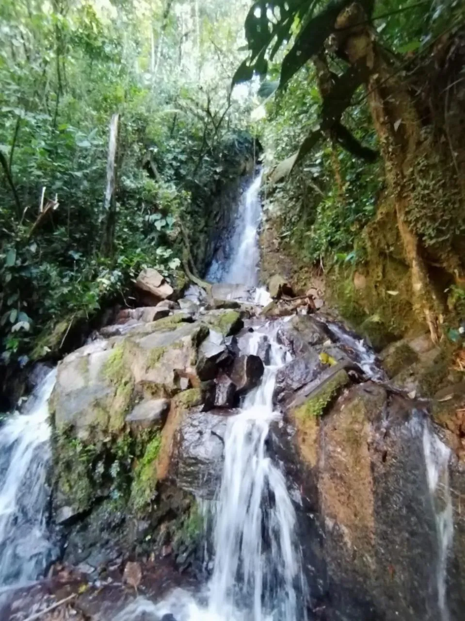 Nearby landmark in Chirripo Art Hotel