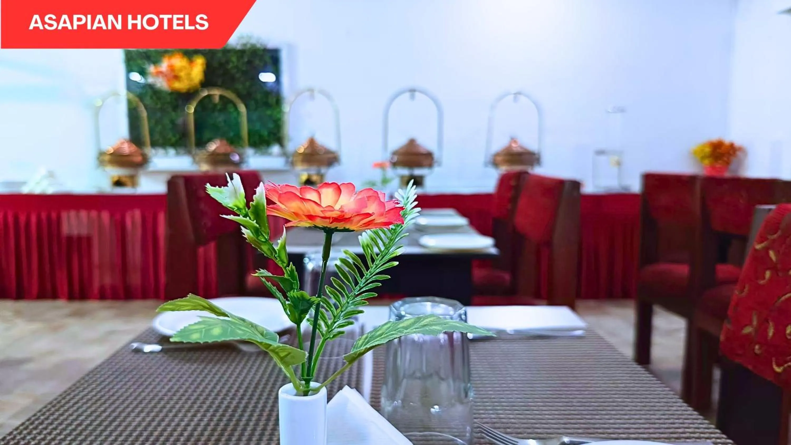 Restaurant/places to eat in Hotel Vijay Deluxe