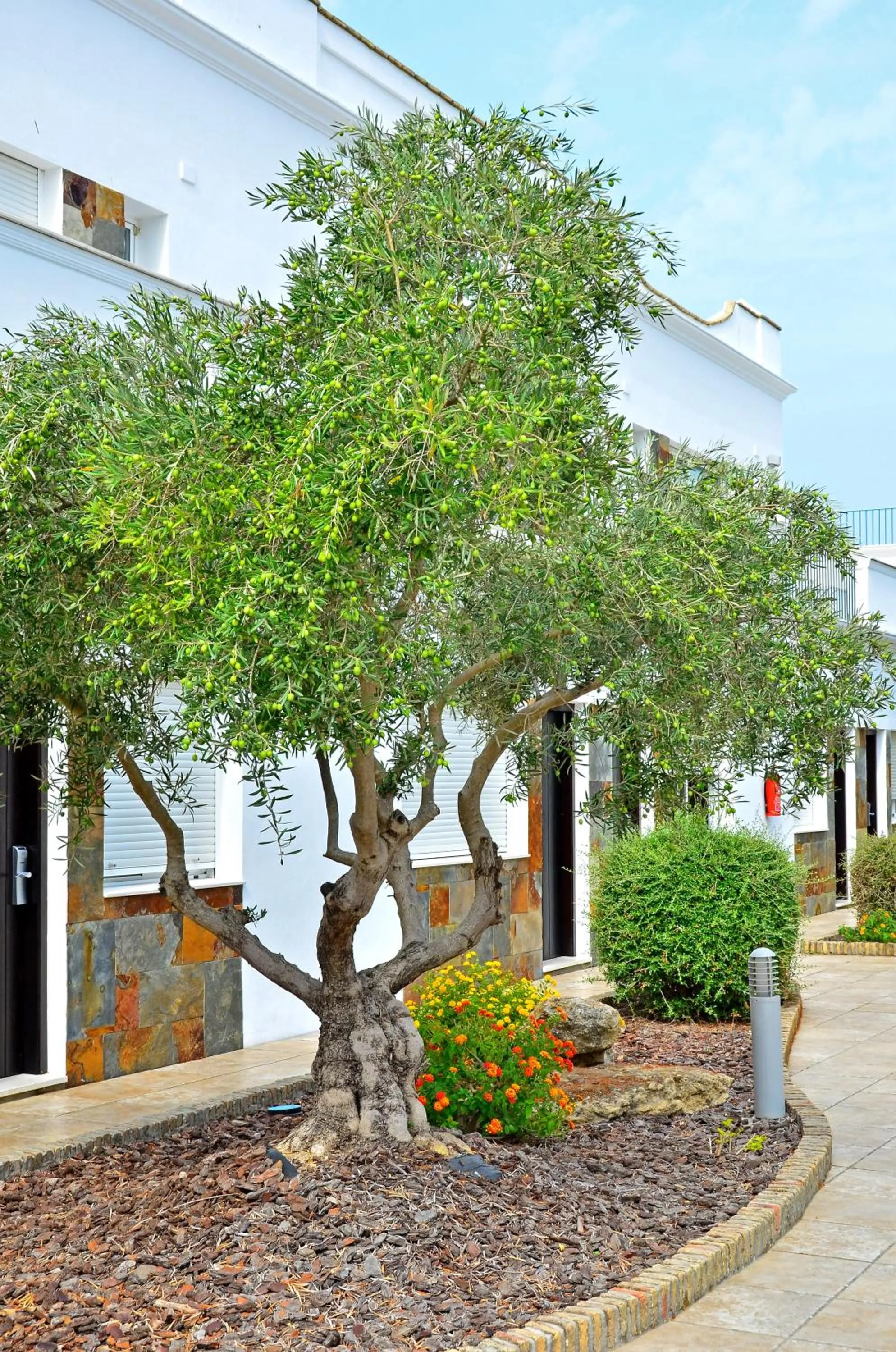 Decorative detail in Apartamentos Piedramar