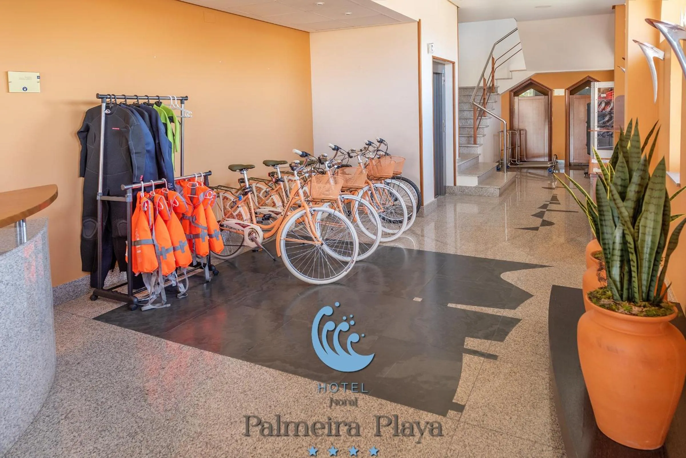 Activities in Hotel Norat Palmeira Playa