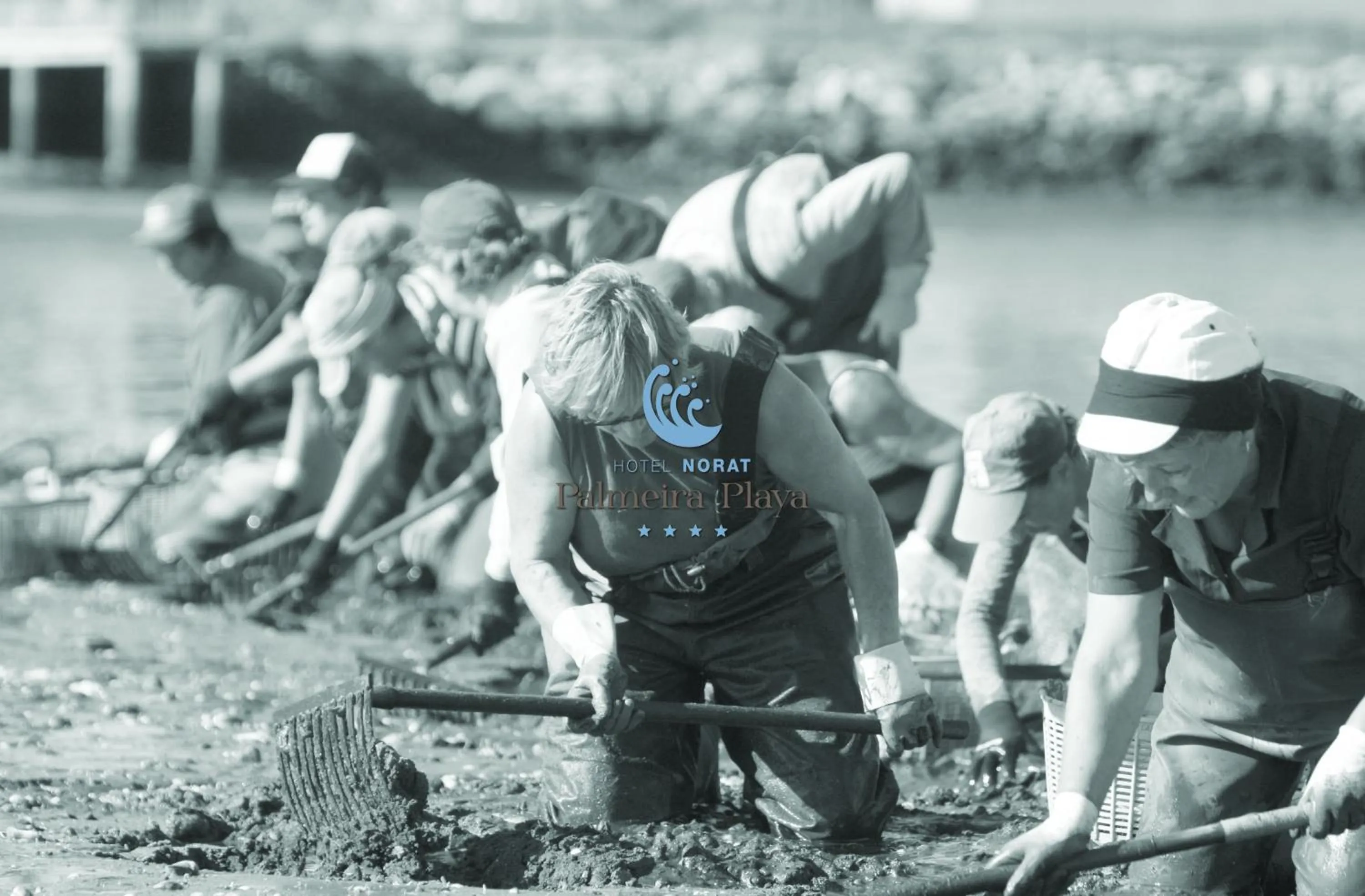 Hotel Norat Palmeira Playa