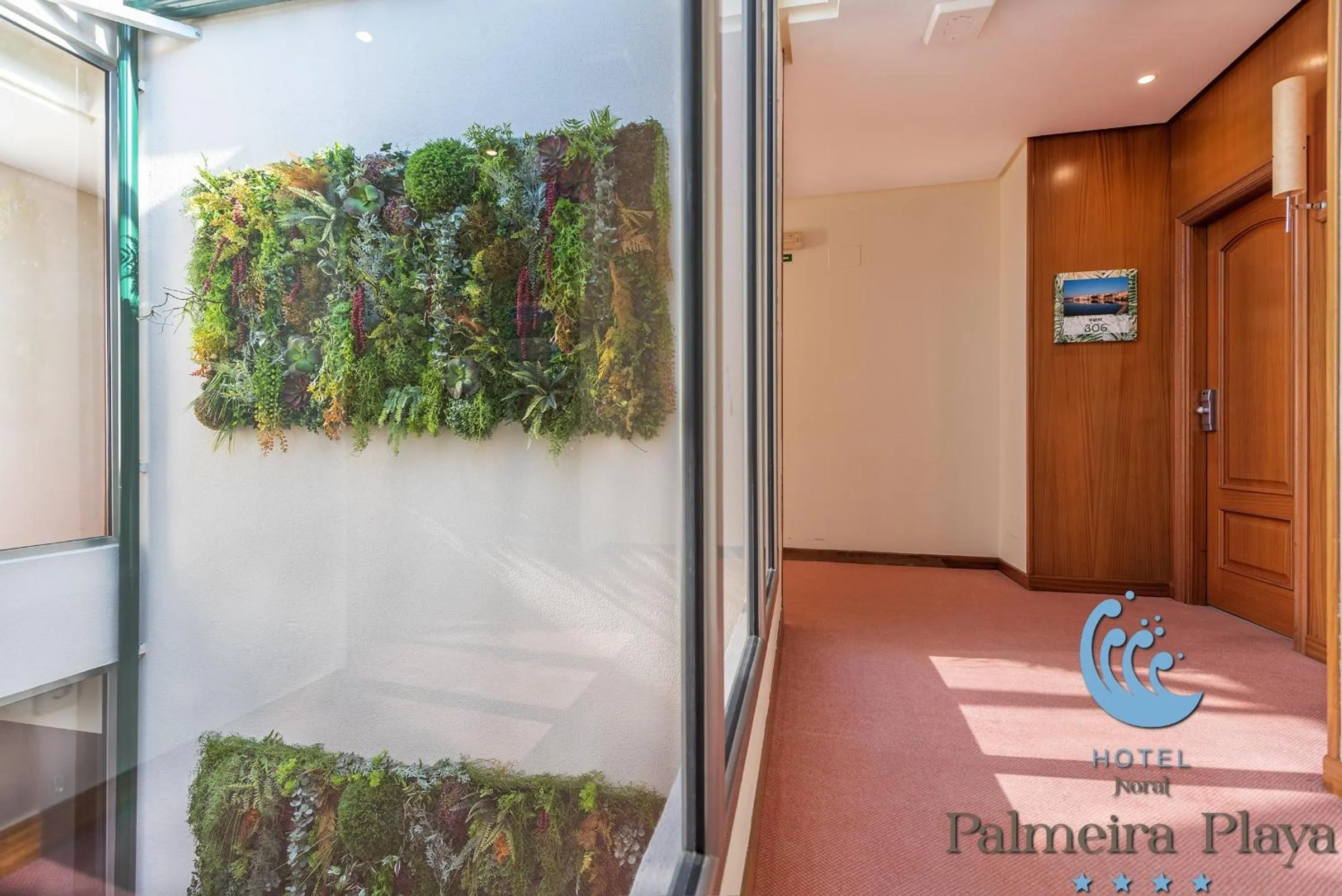 Patio in Hotel Norat Palmeira Playa