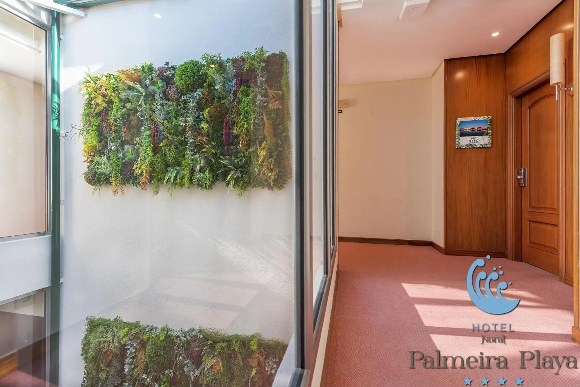 Single Room in Hotel Norat Palmeira Playa Single Room in Hotel Norat Palmeira Playa