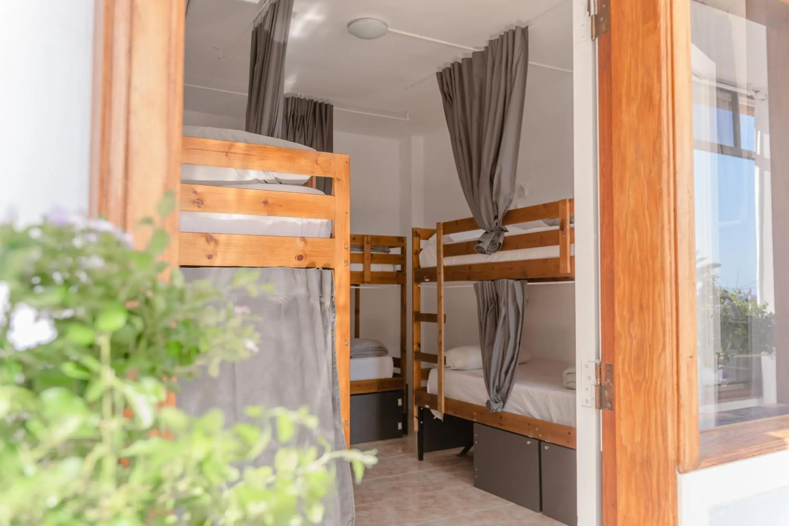 Bunk Bed in Mixed Dormitory Room in Ocean Nomads Coworking Tenerife Bunk Bed in Mixed Dormitory Room in Ocean Nomads Coworking Tenerife