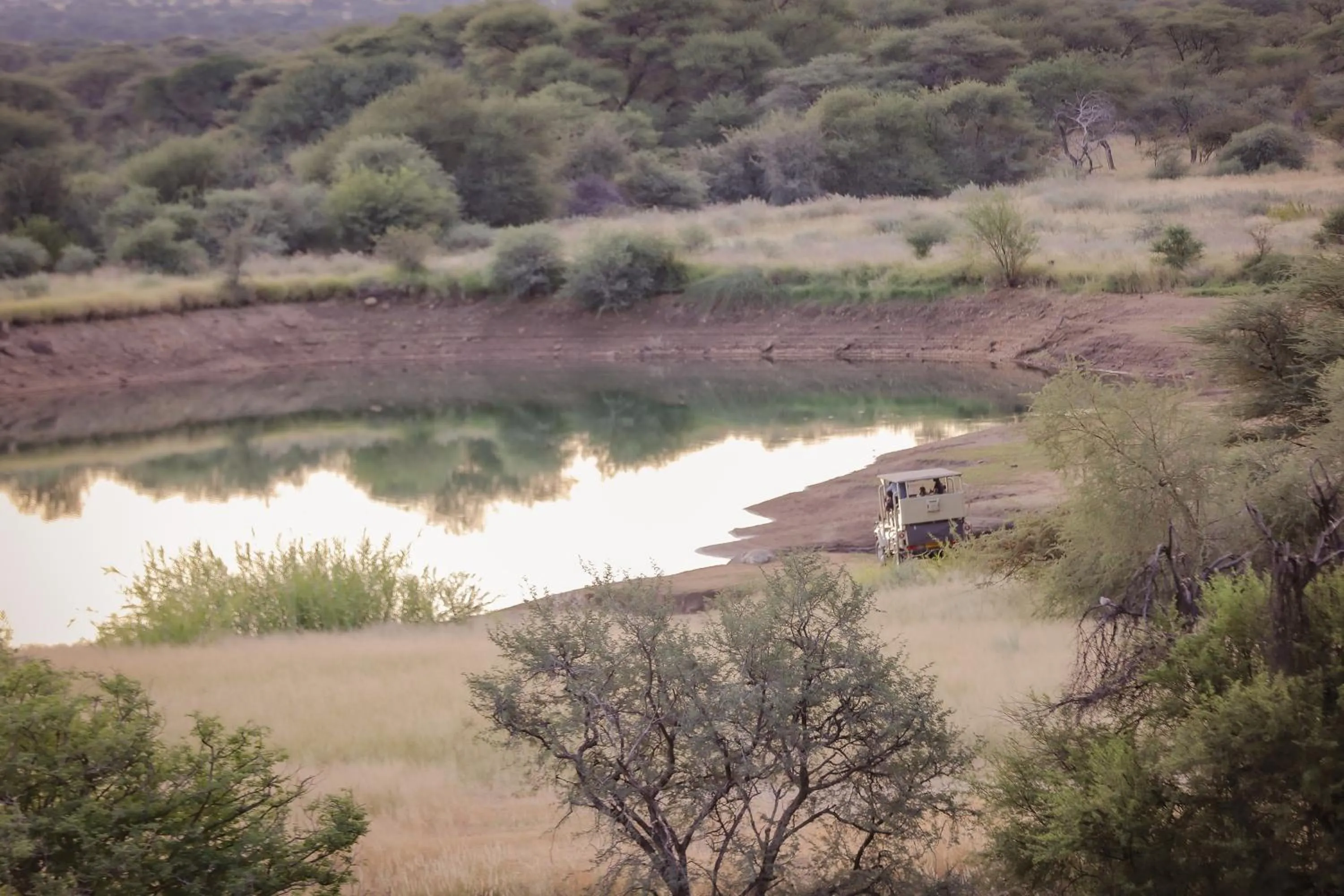 Natural landscape in Okapuka Safari Lodge