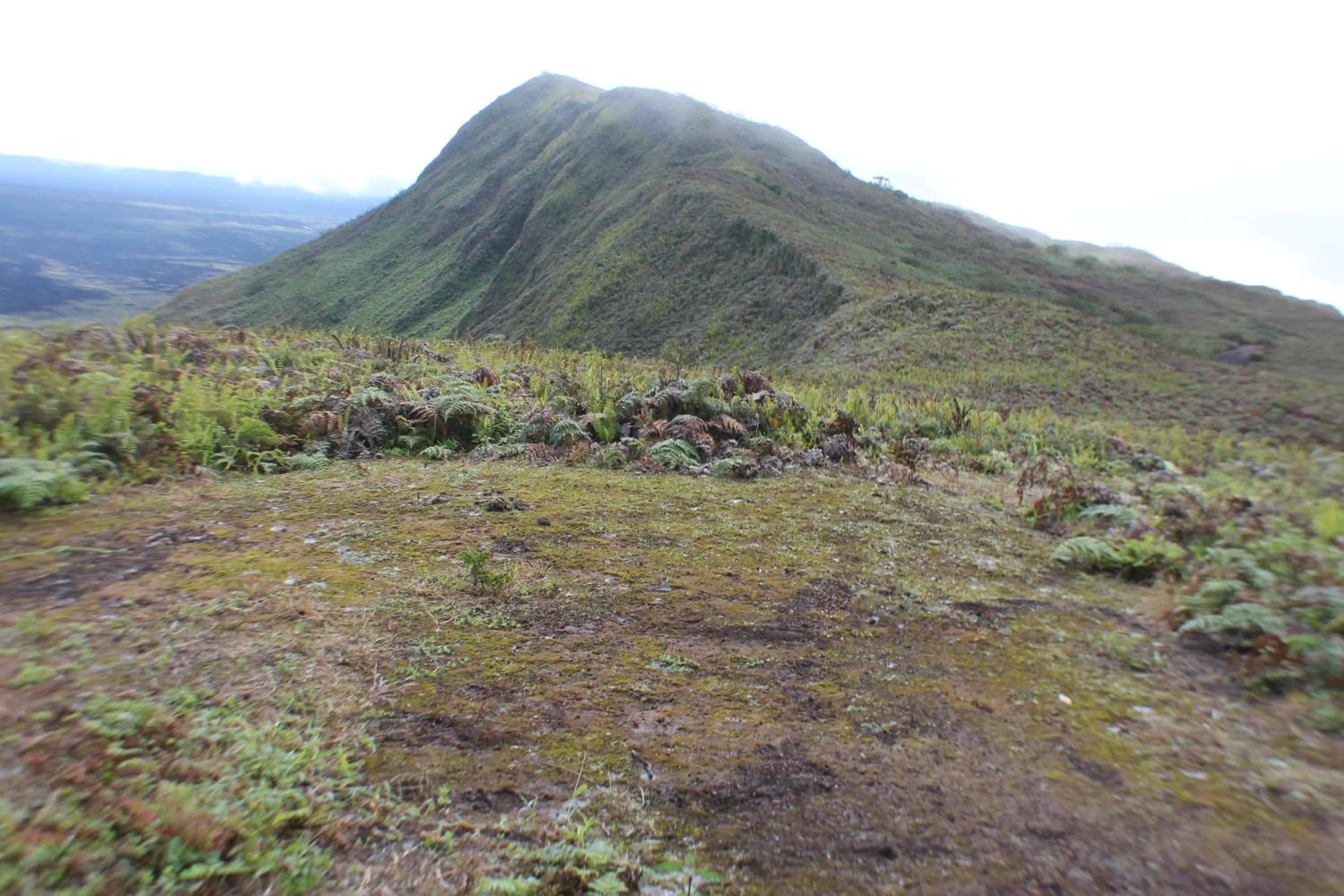Nearby landmark in Mi Playa Galapagos Beachfront Apartments