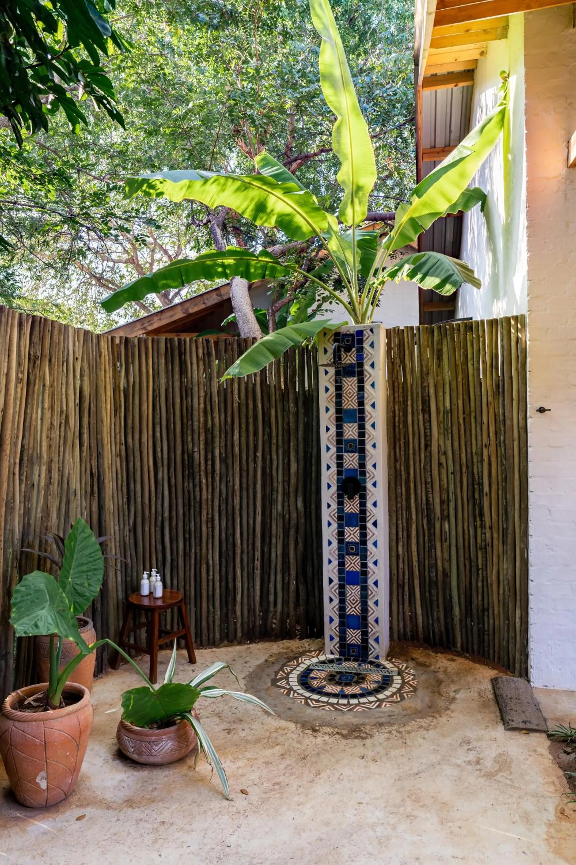 Garden view in Shongwe Oasis