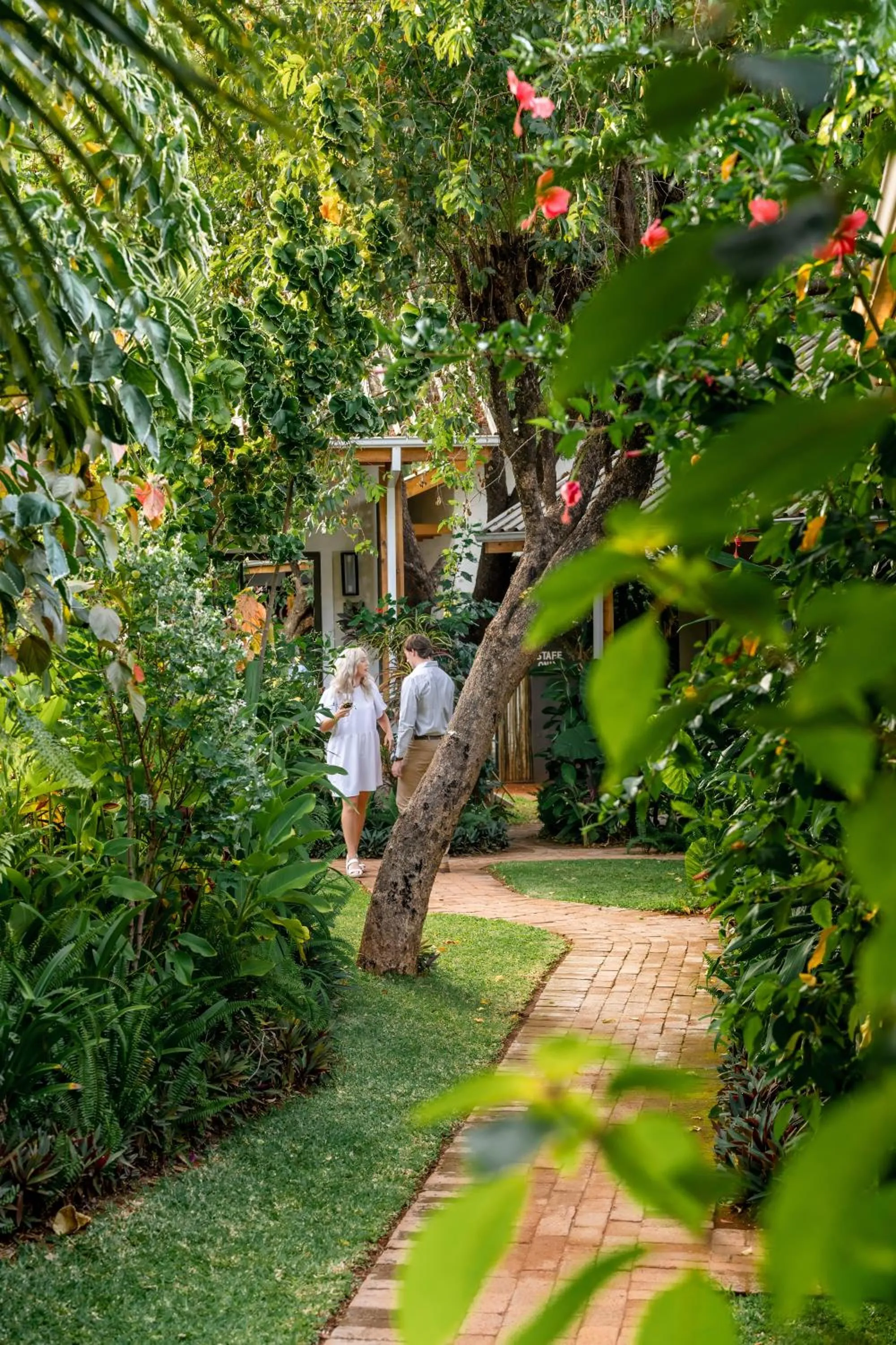 Garden view in Shongwe Oasis