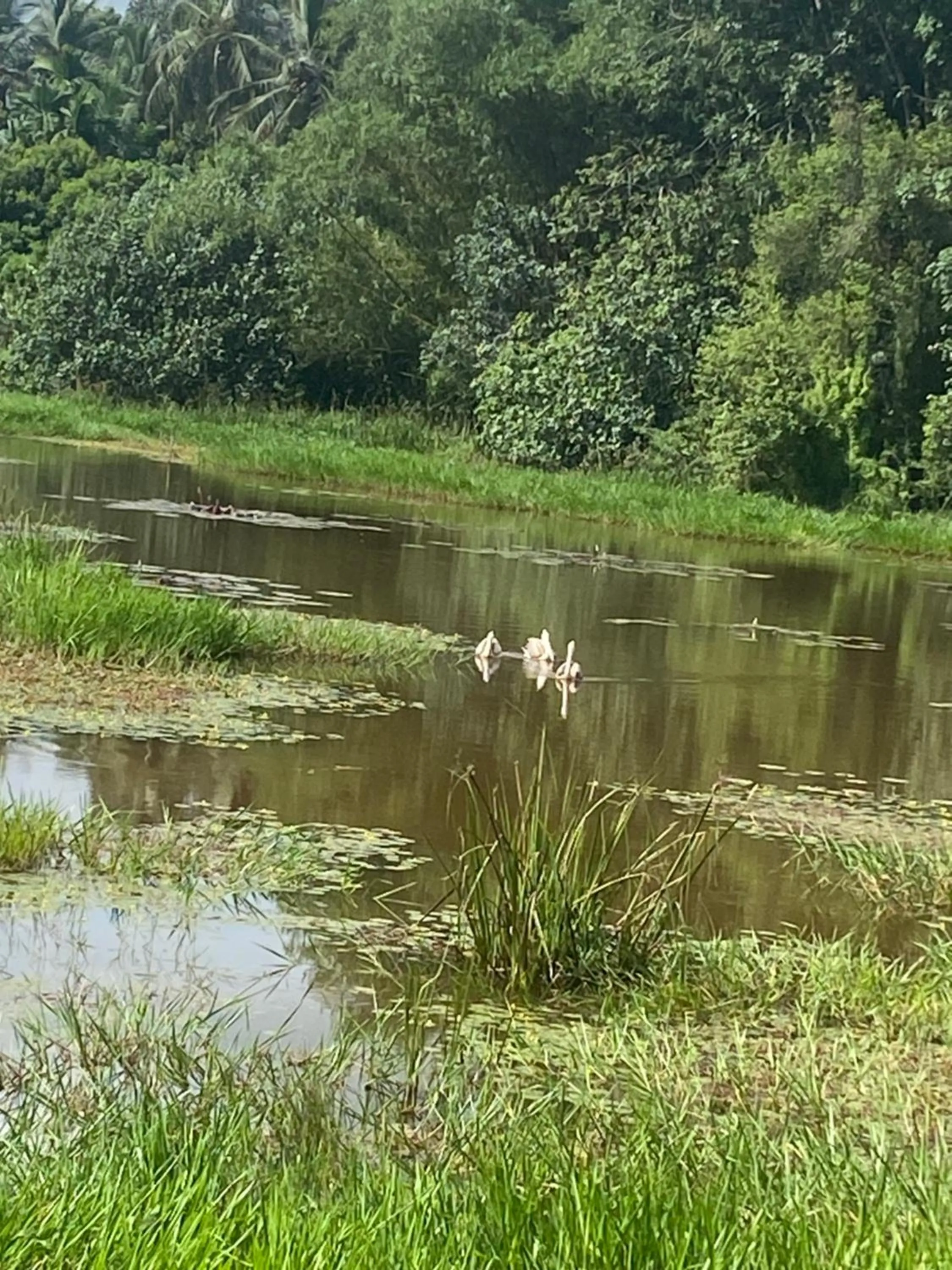 Property building in Savenndra Resorts