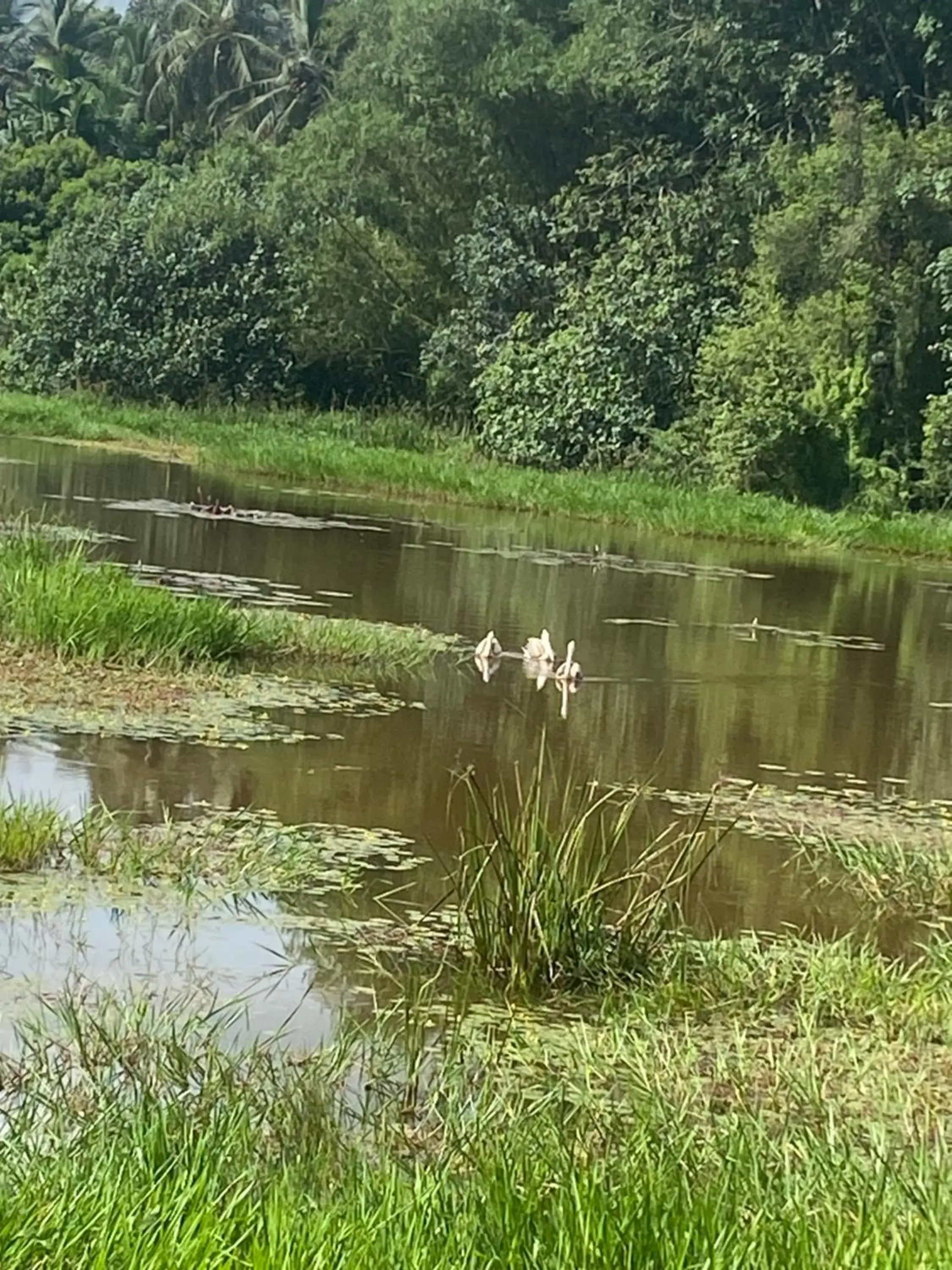 Property building in Savenndra Resorts Property building in Savenndra Resorts