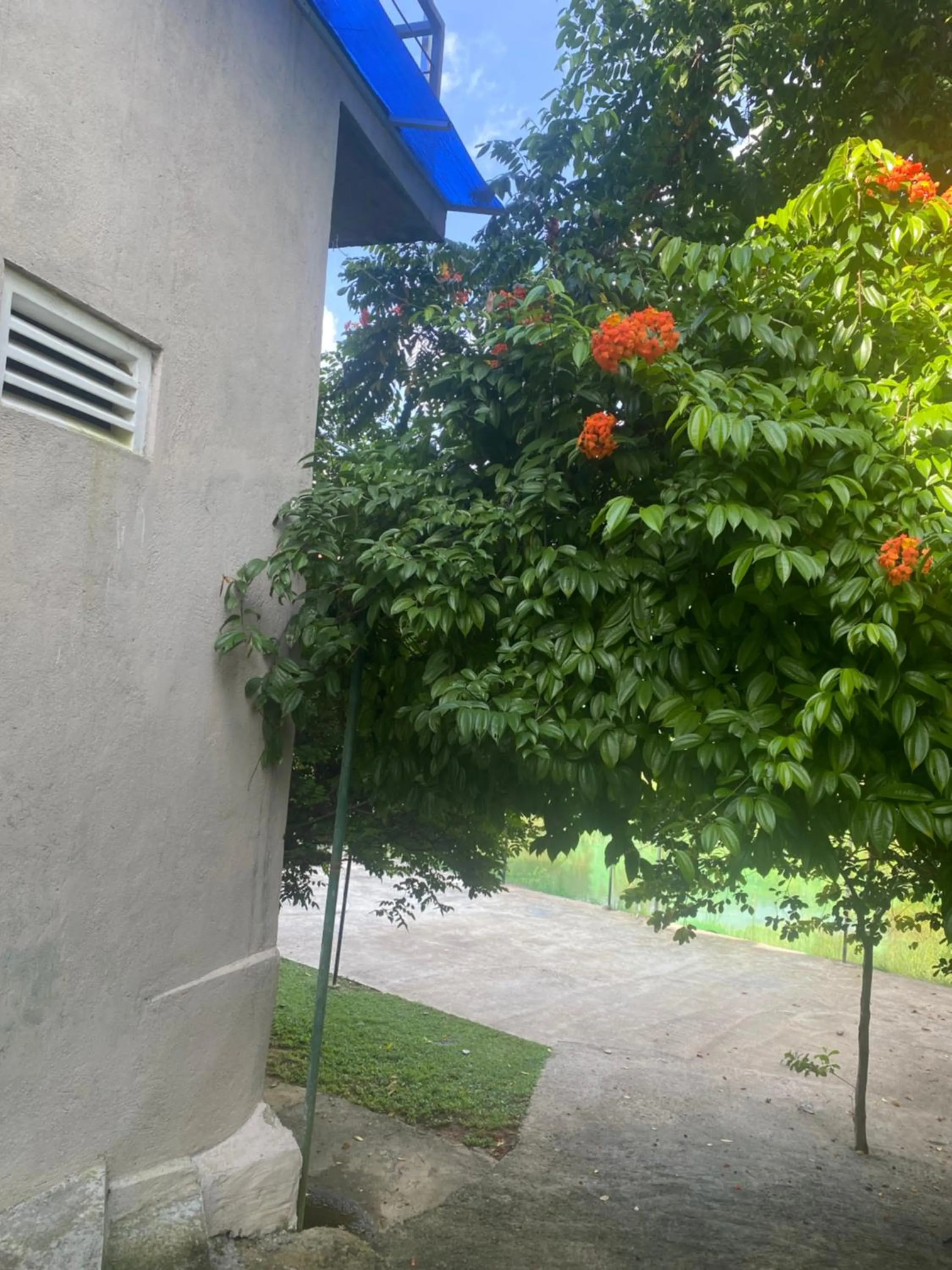 Spring in Savenndra Resorts