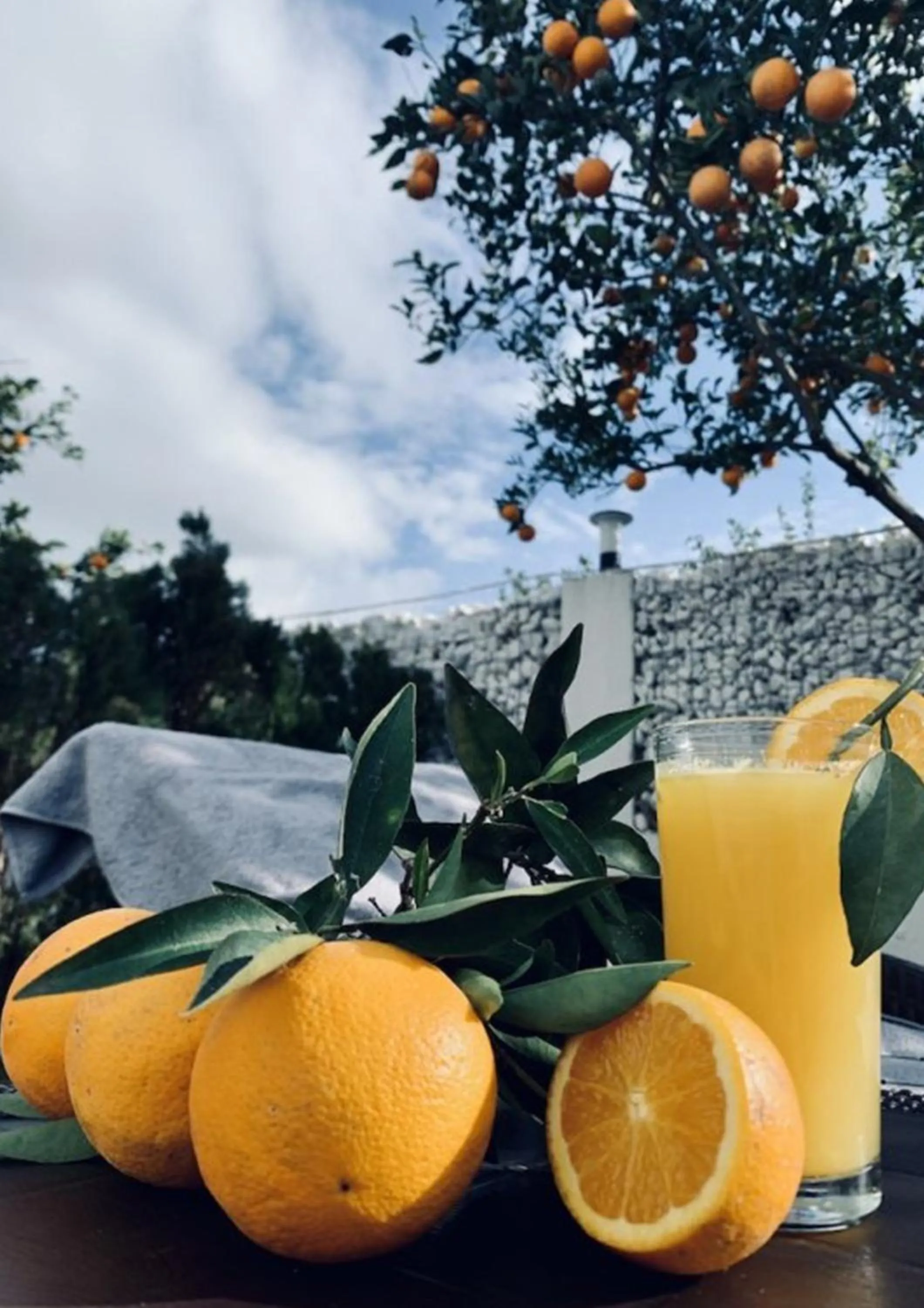 Food and drinks in Ramses Resort & Spa Hotel