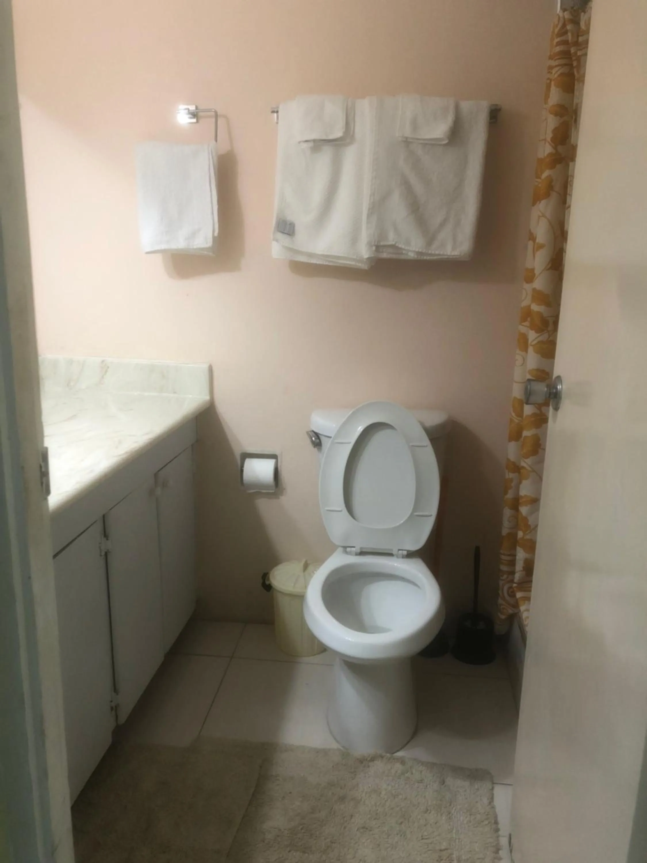 Toilet in Finest Accommodation Renfrew Place 1 Bedroom Apt # 42 New Kgn 4--12 Renfrew Rd