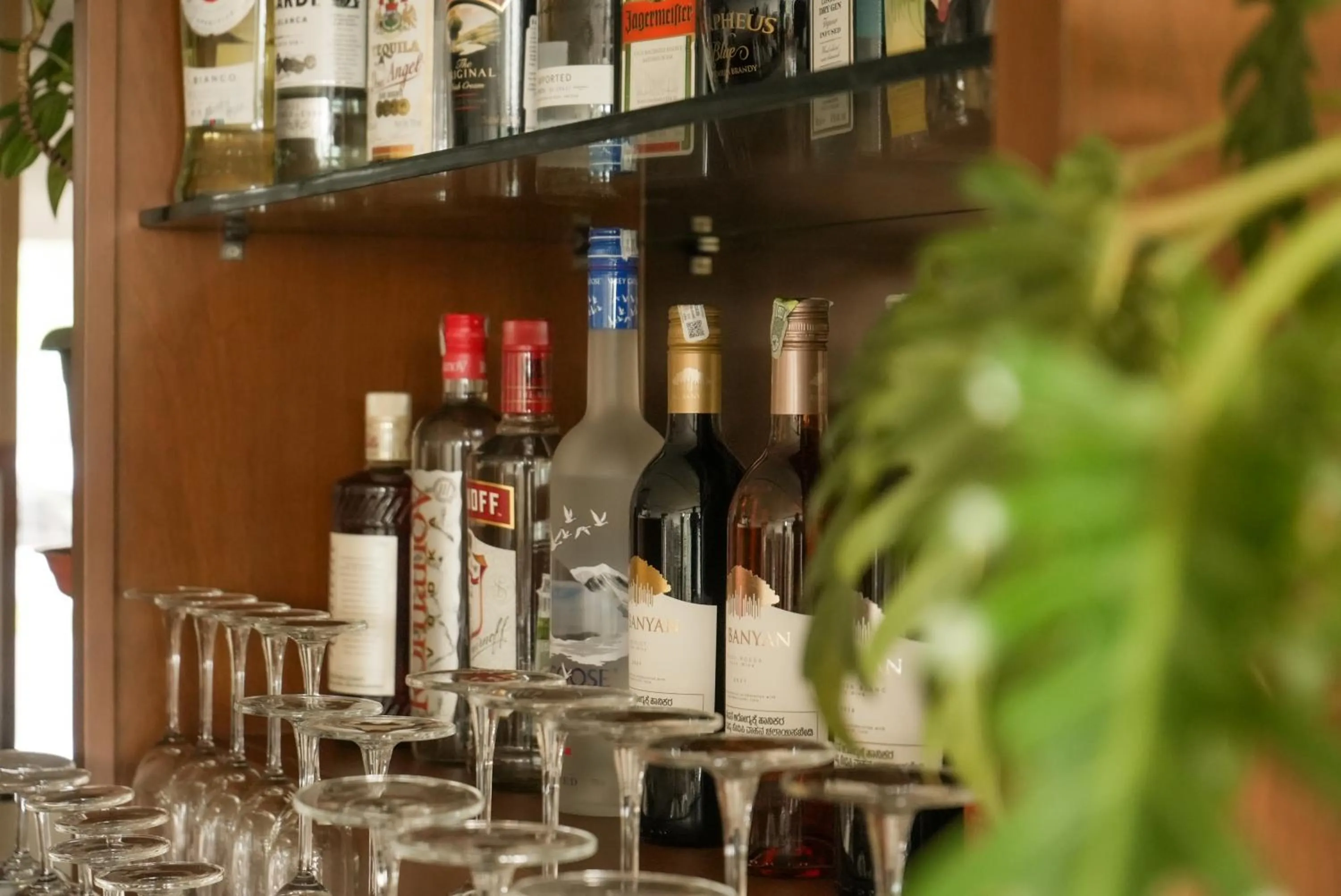 Lounge or bar in Tea Tree Suites,Manipal