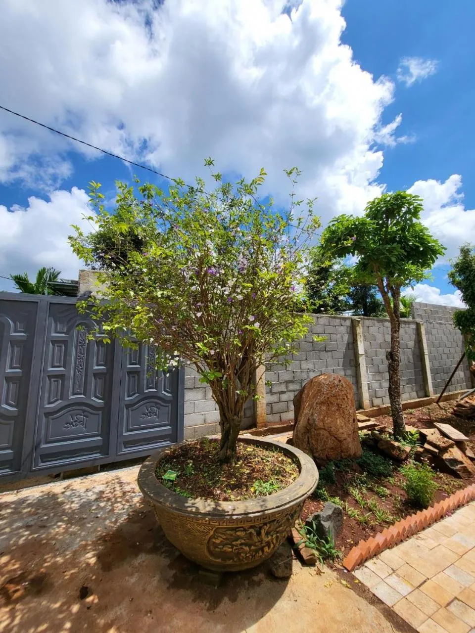 Neighbourhood in T'Farmstay villa and resort Buon Ma Thuot City