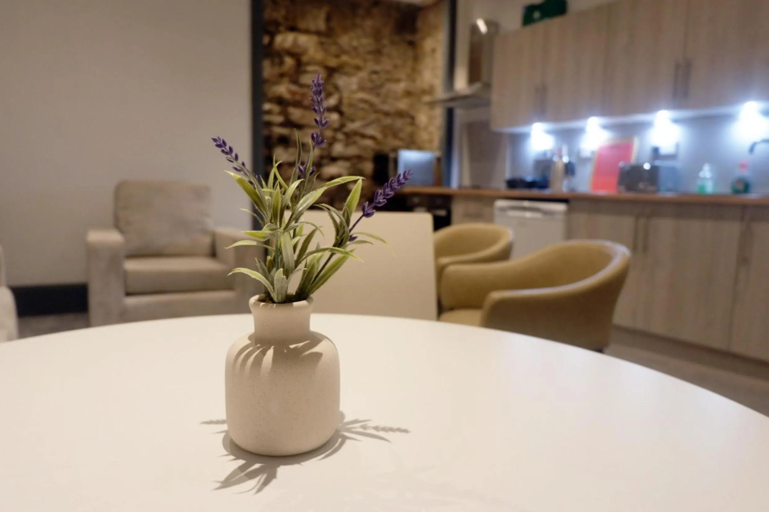 Kitchen or kitchenette in Jacobite house