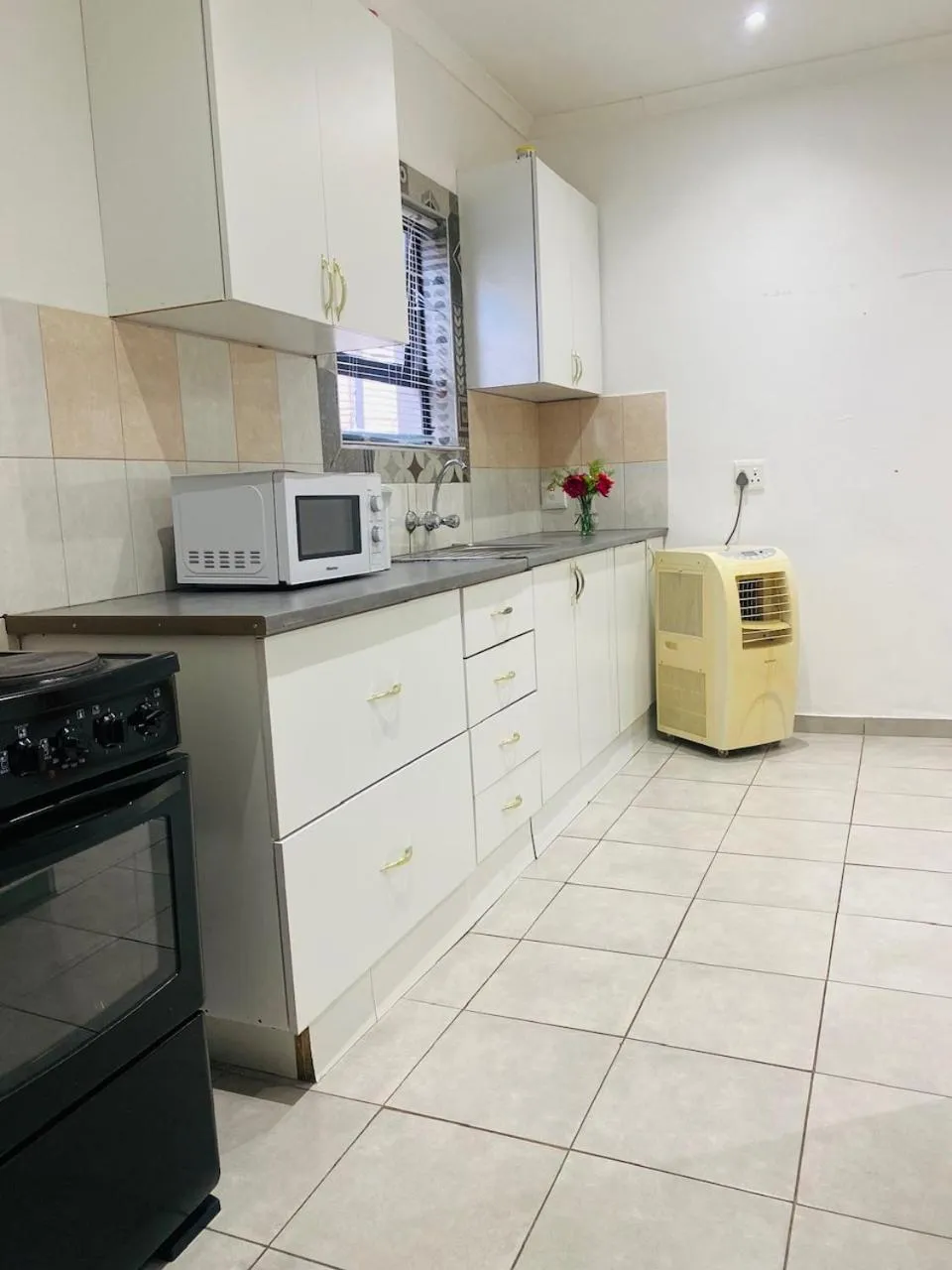 Kitchen or kitchenette in Airport Royal Guest House