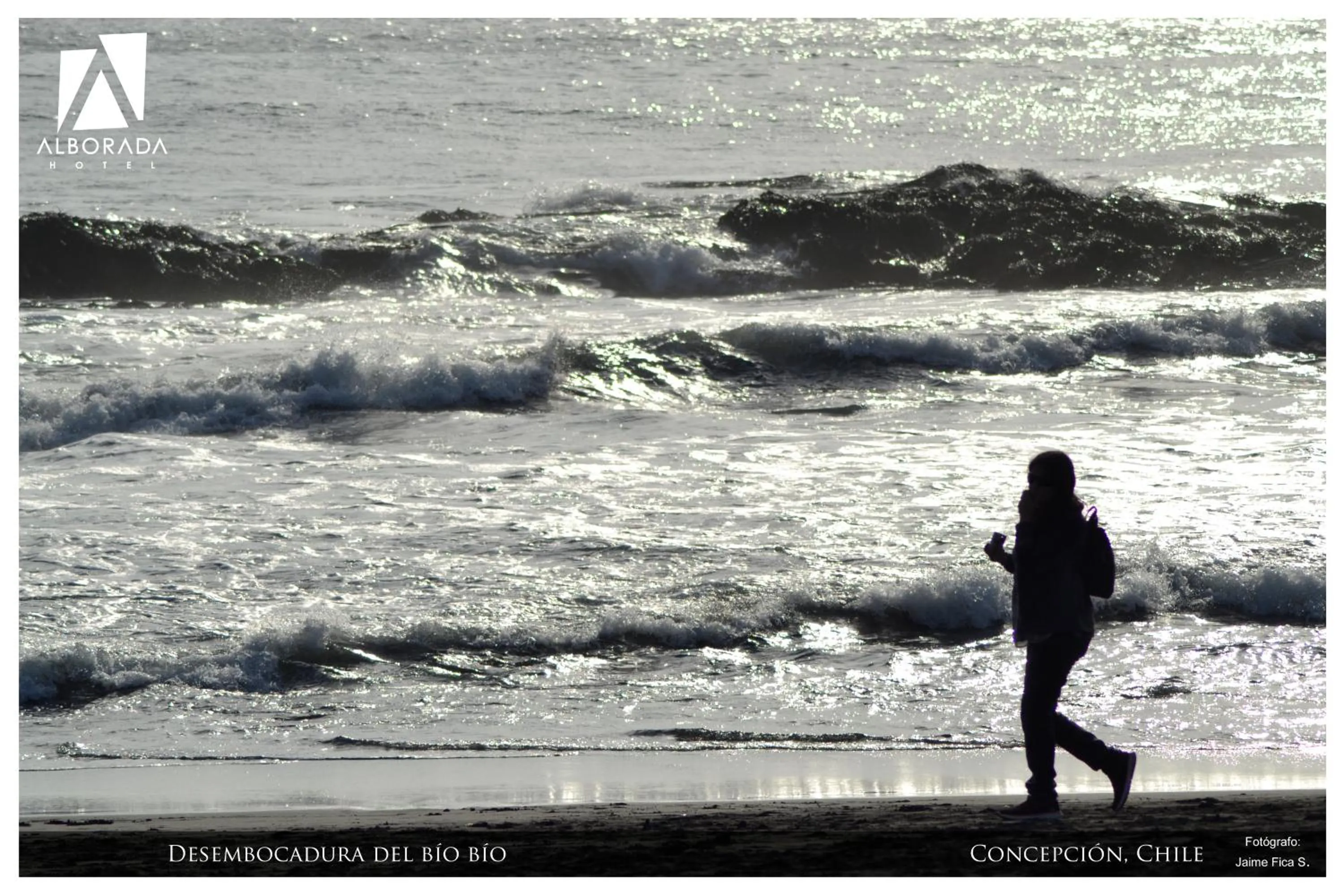 Natural landscape in Hotel Alborada