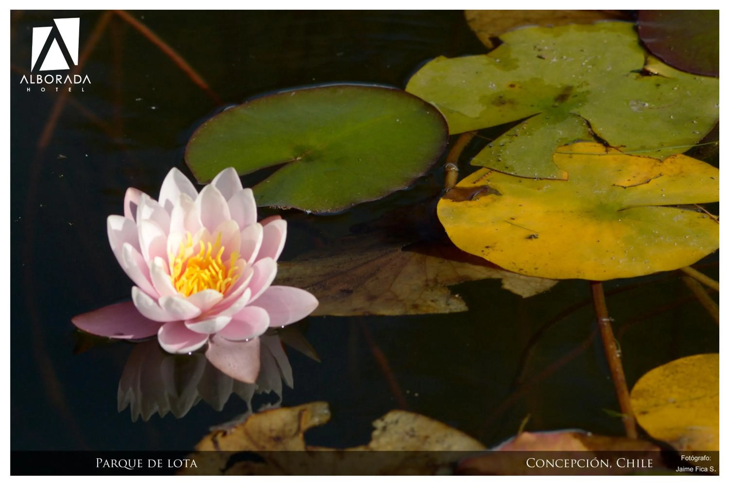 Other in Hotel Alborada