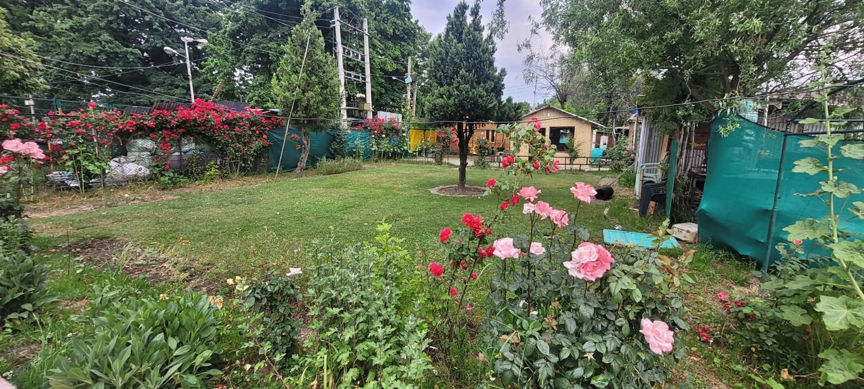 Garden in Lily Of The World Houseboat